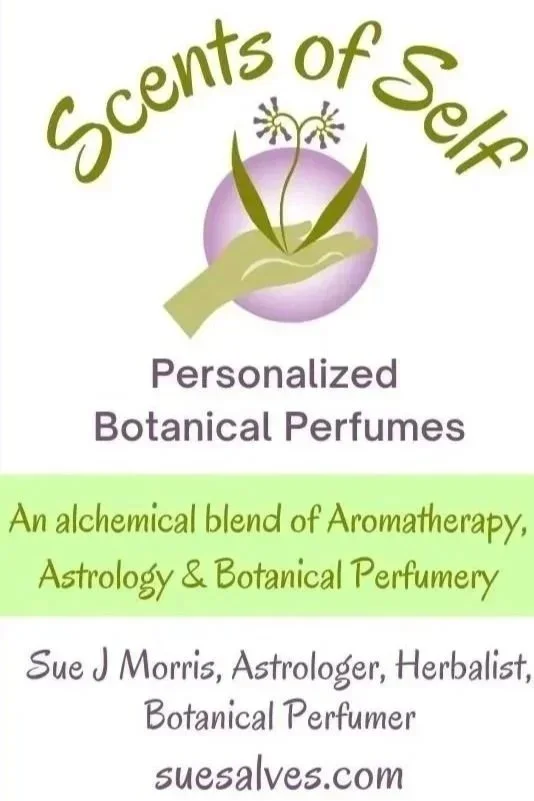 Scents%25252Bof%25252BSelf%25252Bbus%25252Bcard.jpg