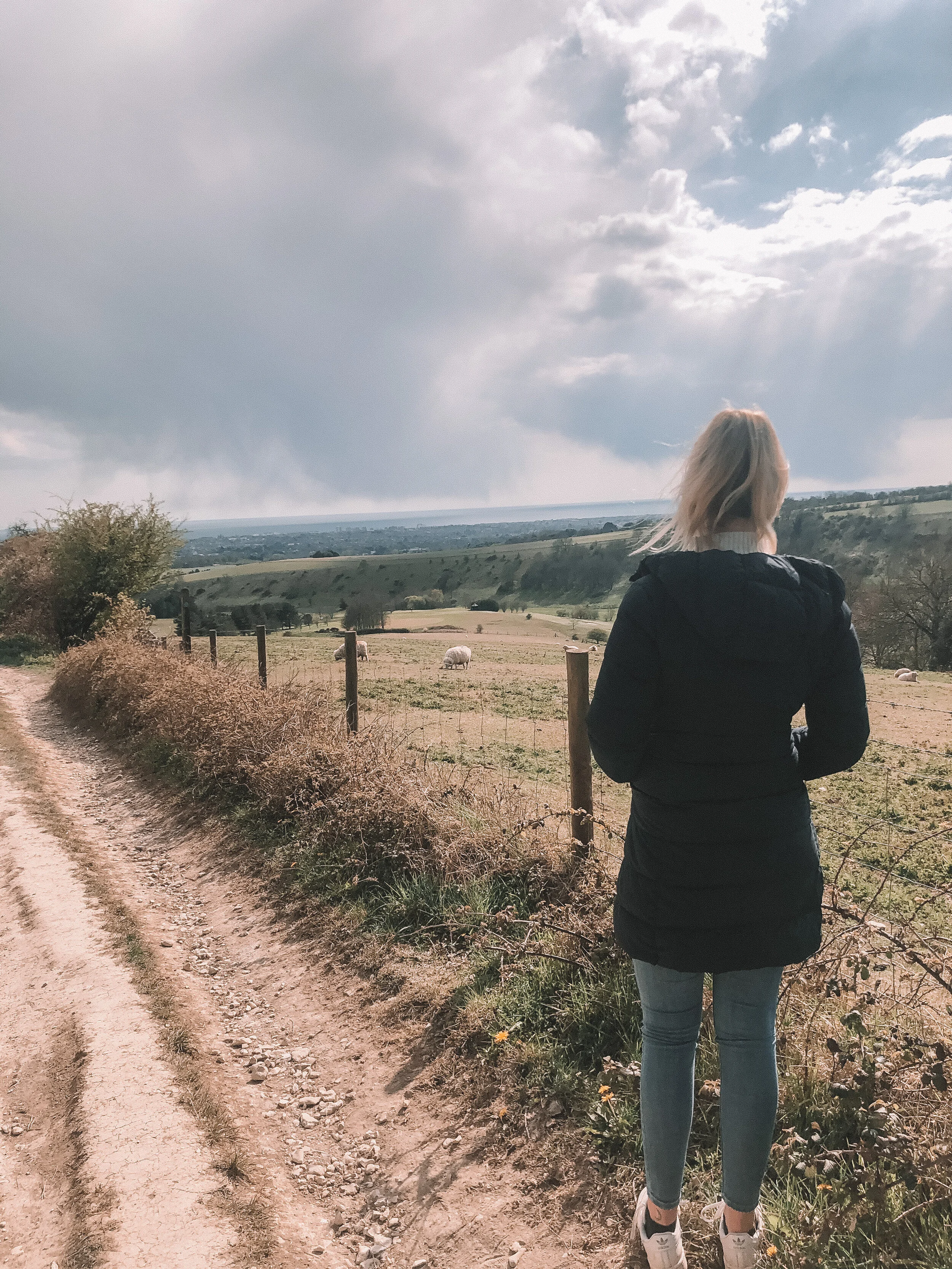 Harnessing the Healing Power of Nature 