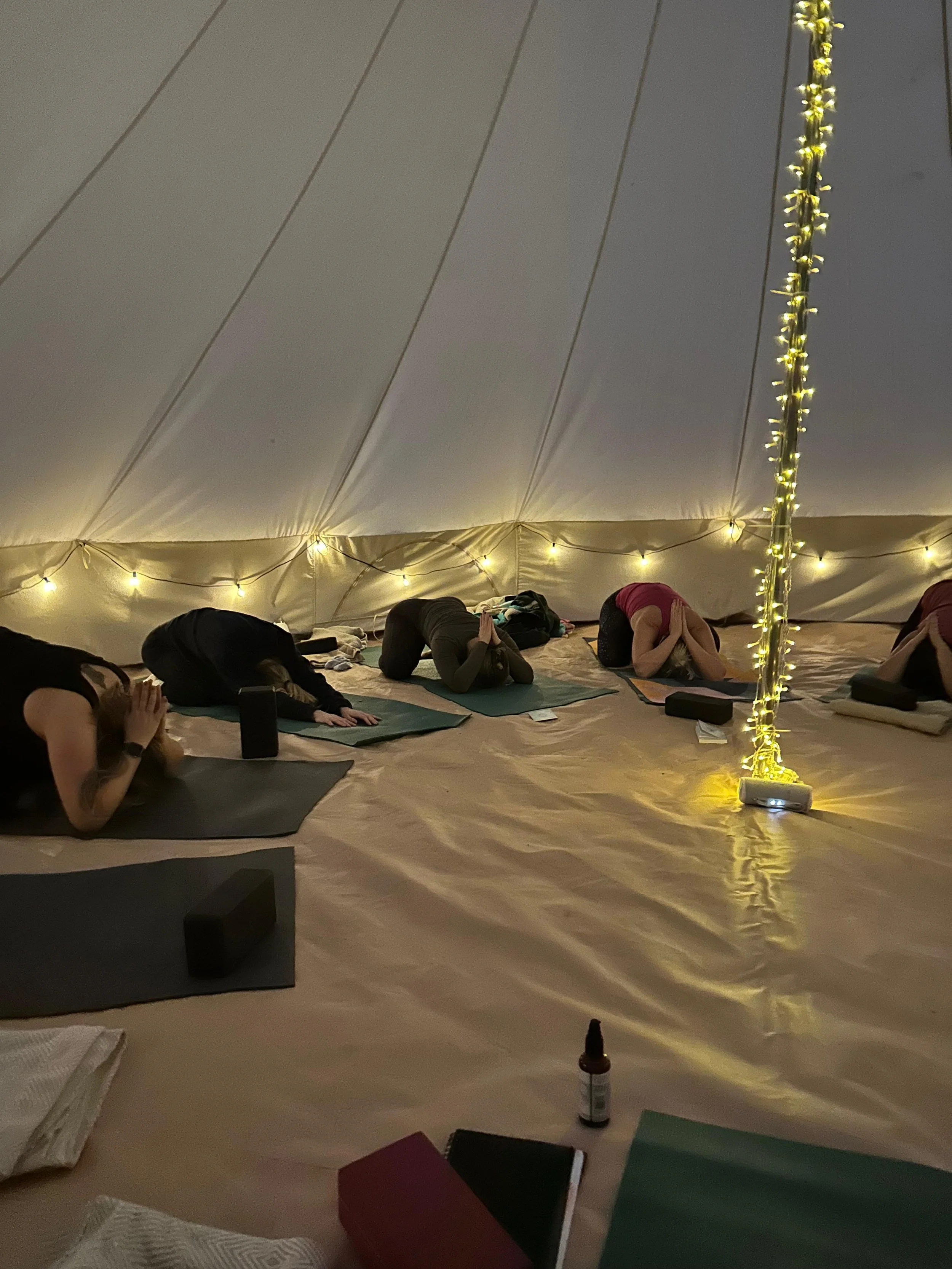 WhatsApp Image 2026-01-12 at 10.04.46.jpeg