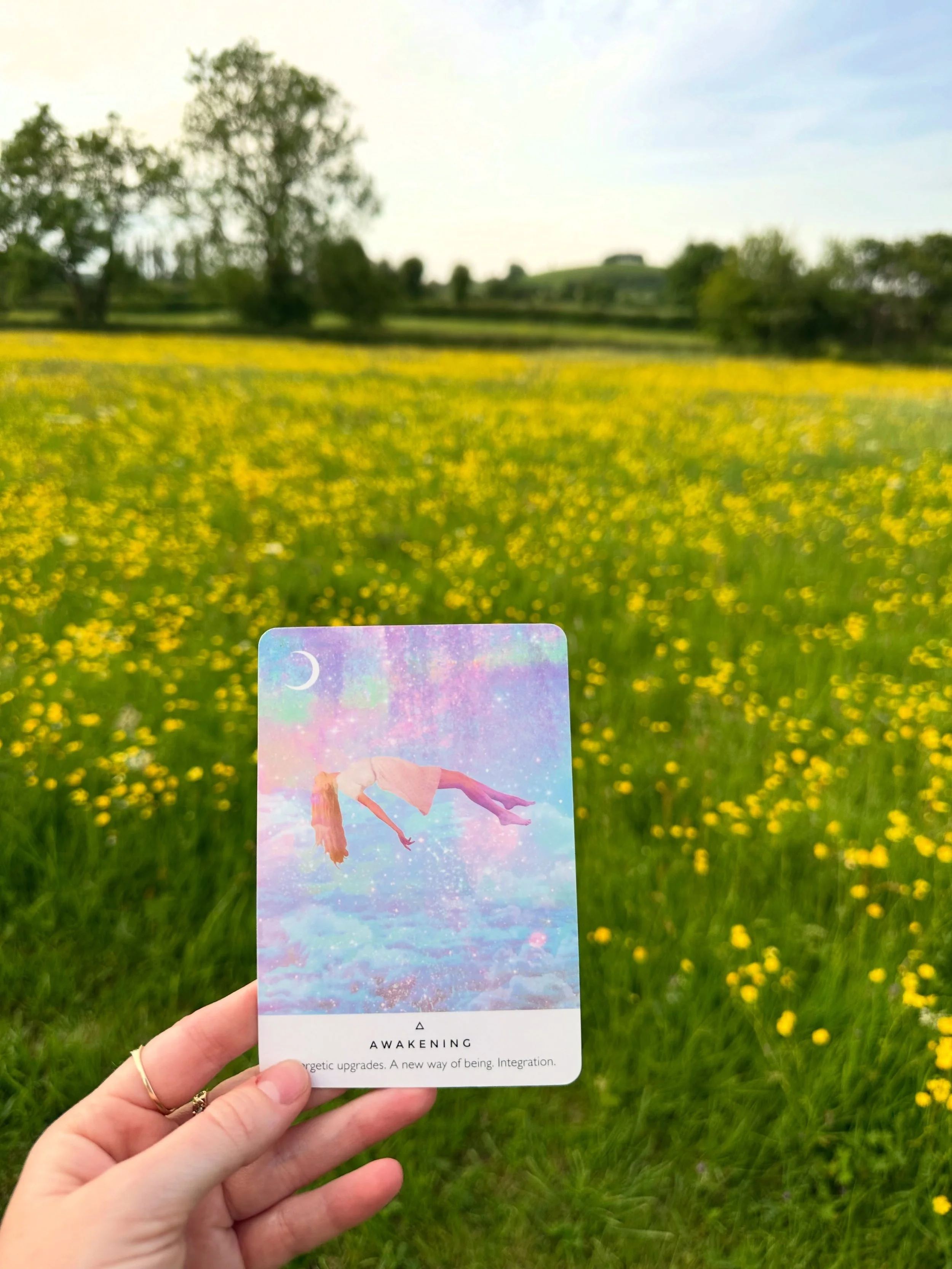 🌱 teaching yoga in pretty places 
🌀 relaxing in Croatia 
🍝 eating in Rome