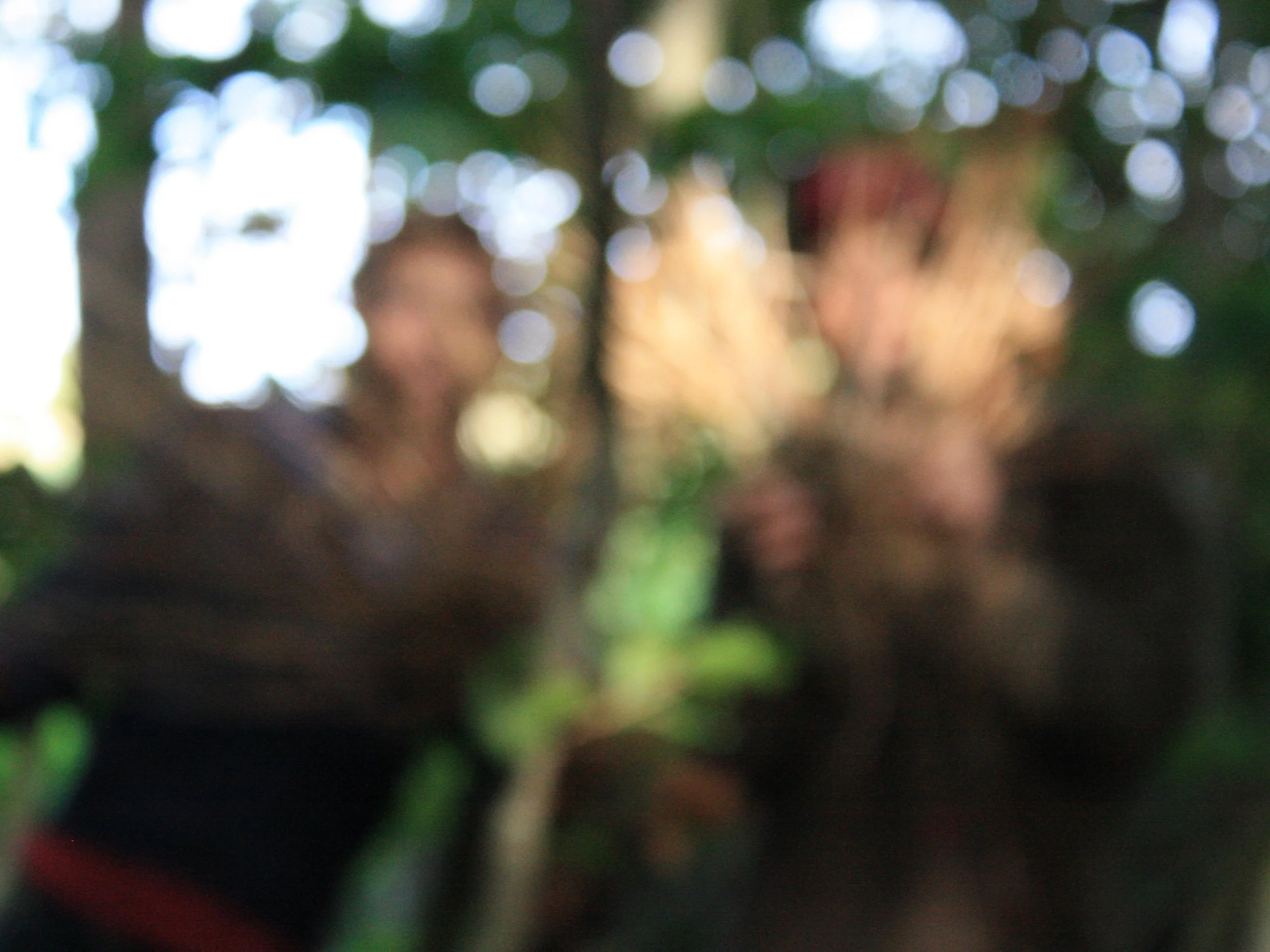 Elledans Bruskhat @ Knulp