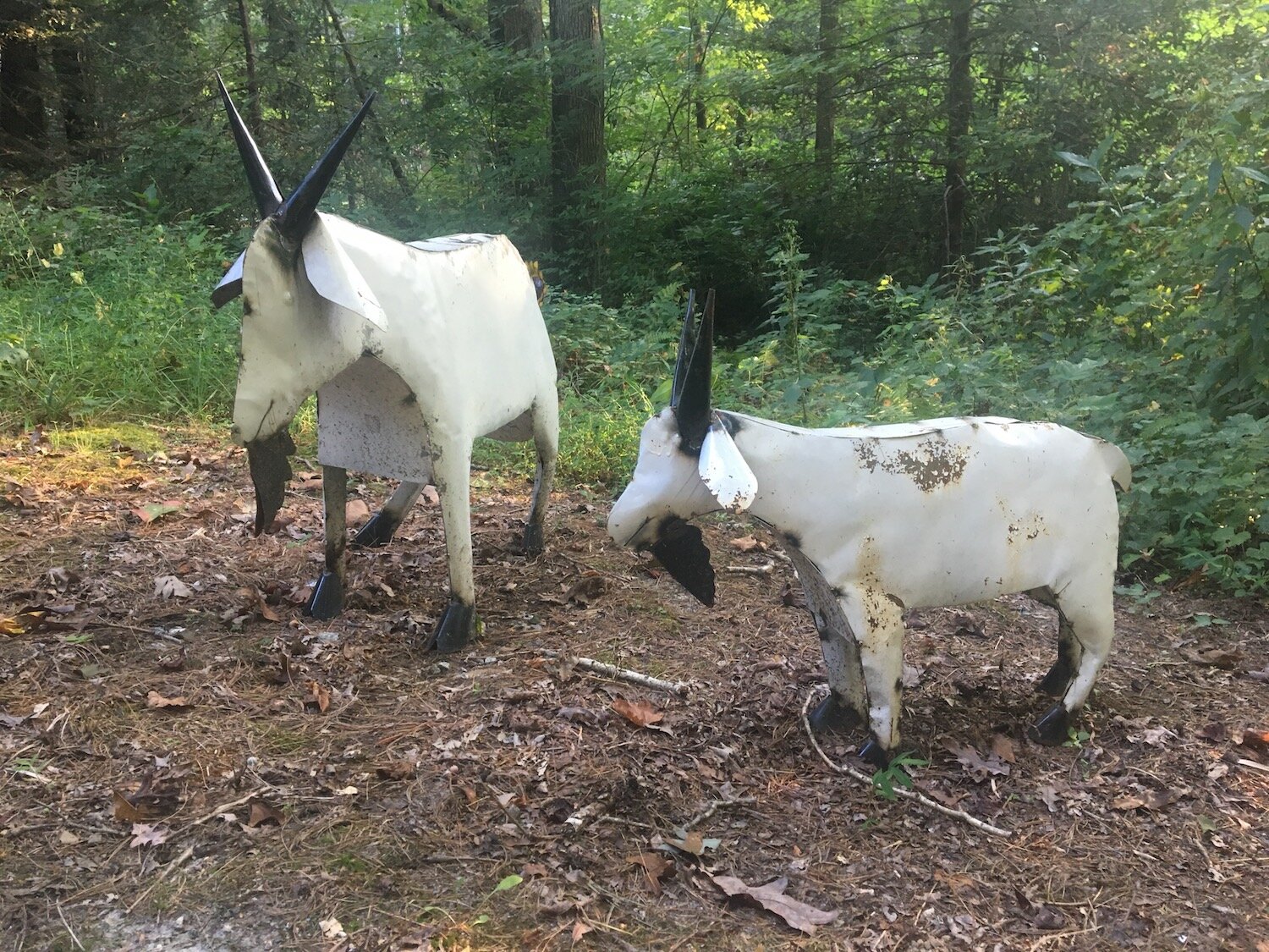 Metal Goats at FRPH.jpg