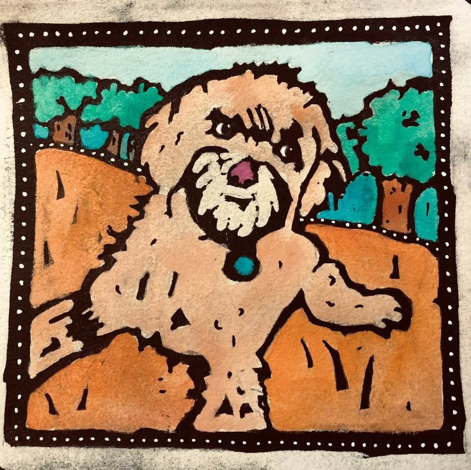 karen kennedy lhasa apso