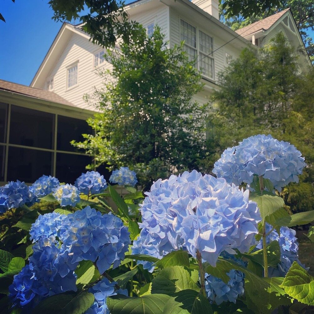 FRP Gardens August 2020 2.jpg
