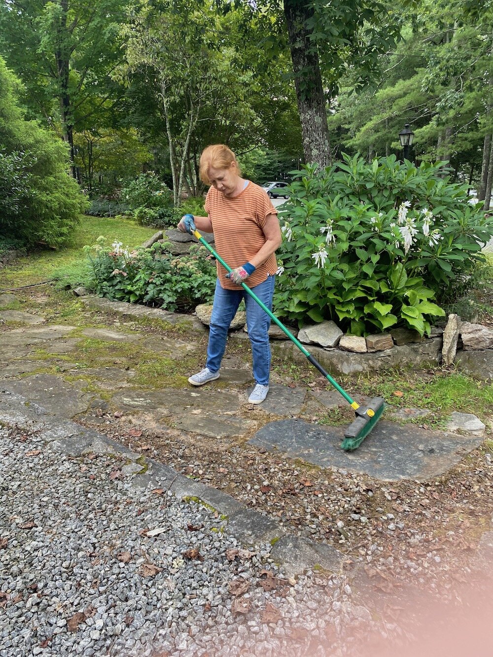 FRP Gardens August 2020 12.jpg