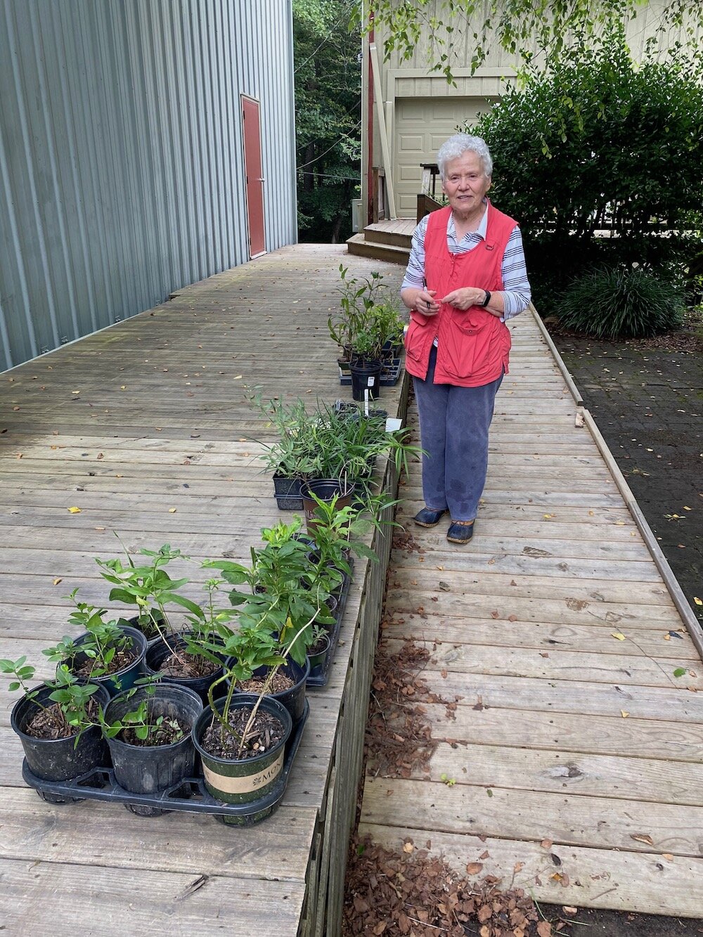 FRP Gardens August 2020 18.jpg