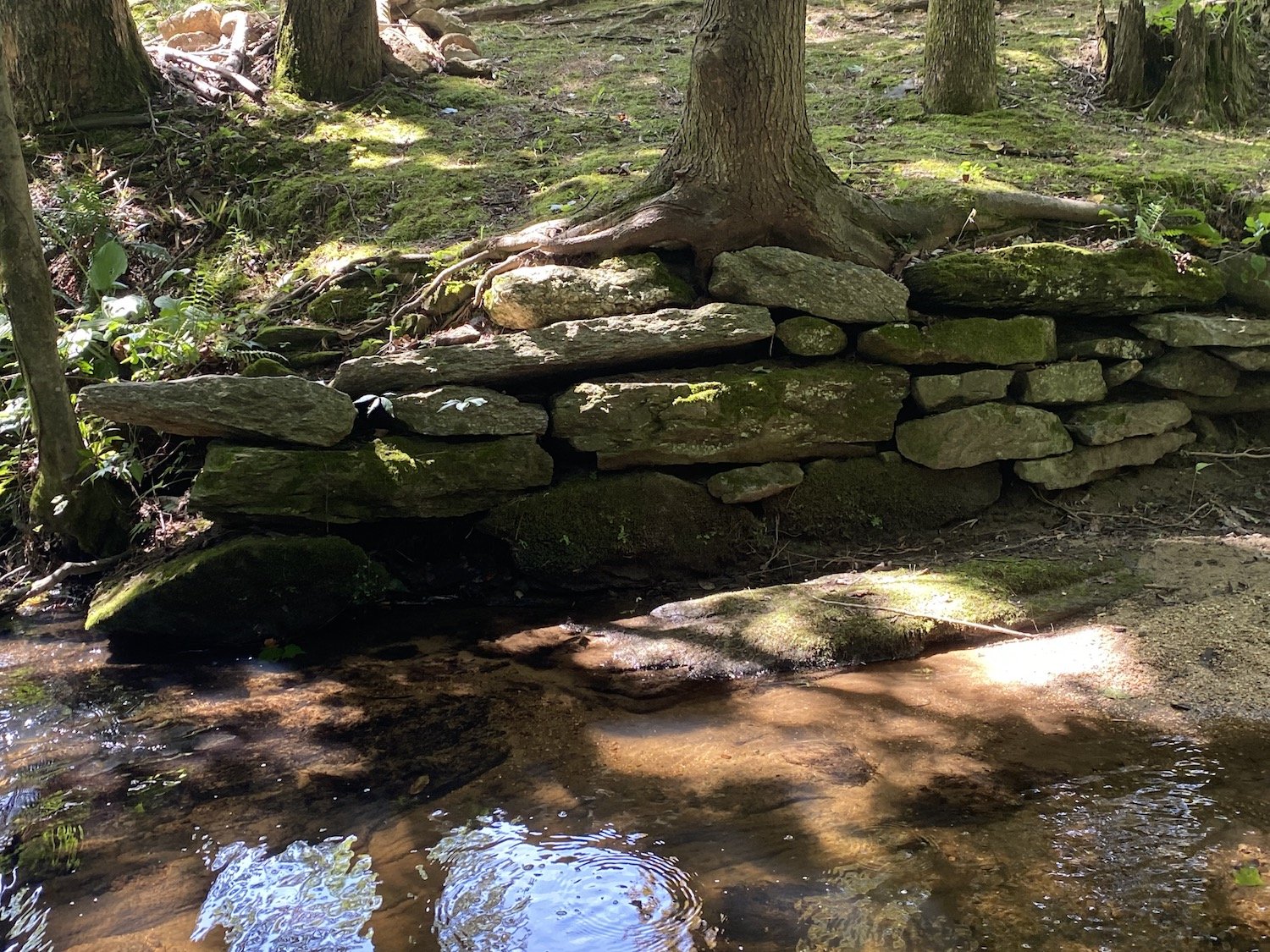 Cut granite supporting creek bank