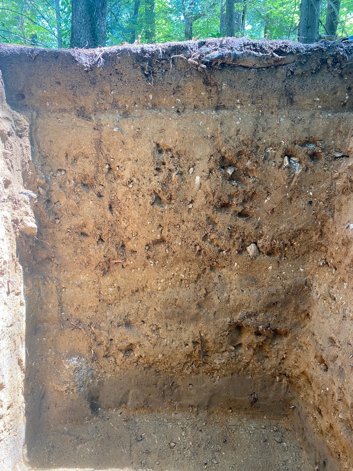 Cross section of excavation trench