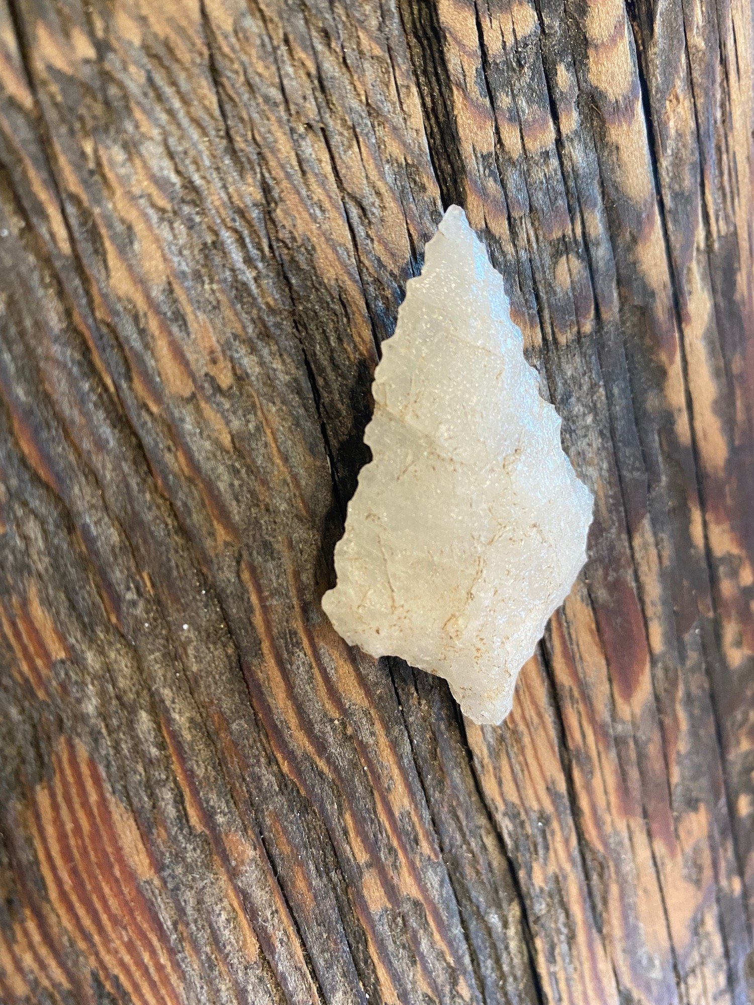 7000 Year-Old Spear Point