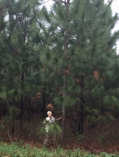 Karen with the Longleaf Pines of South Georgia