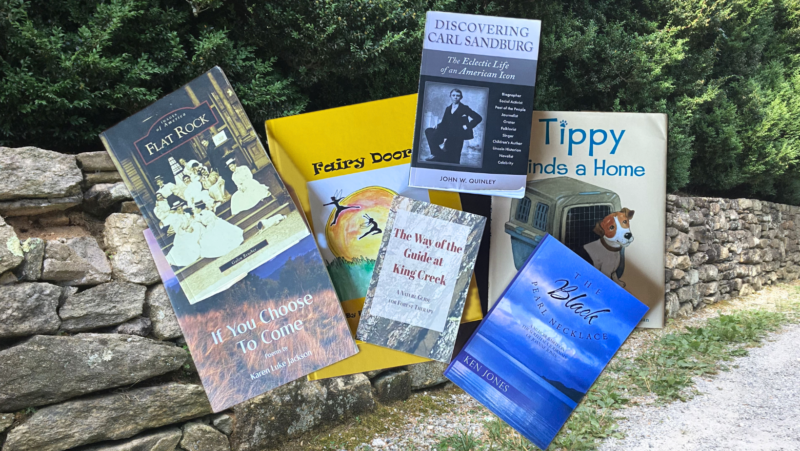 Authors WebPage Header 2023.png