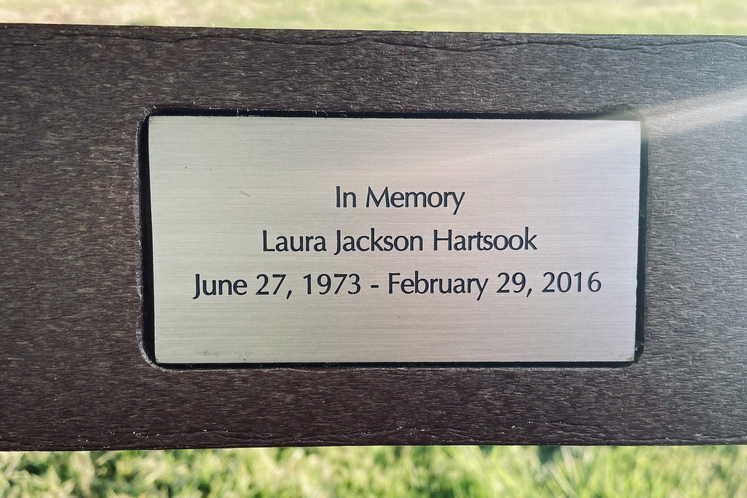 The Park Bench 36