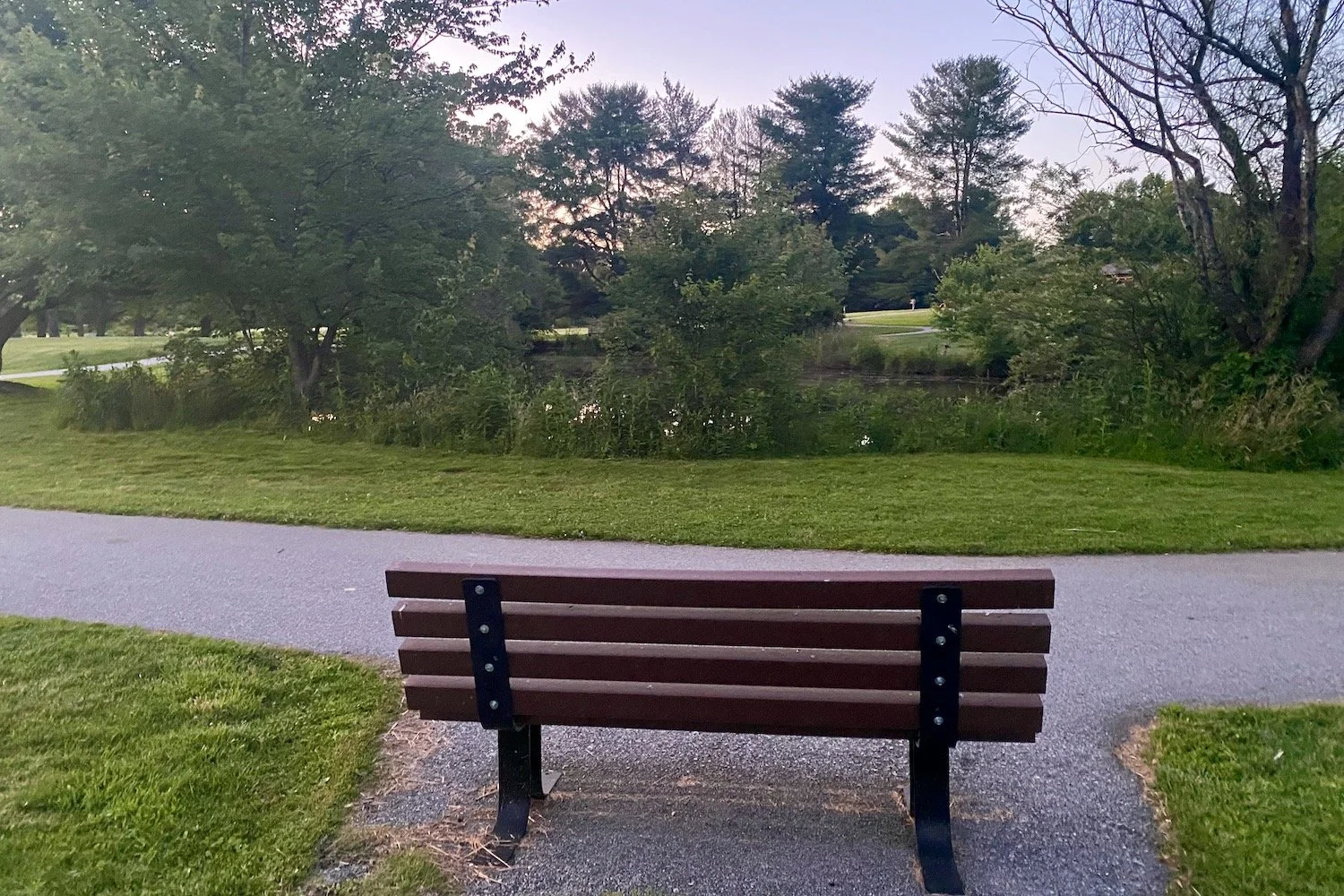Who's on the Bench?
