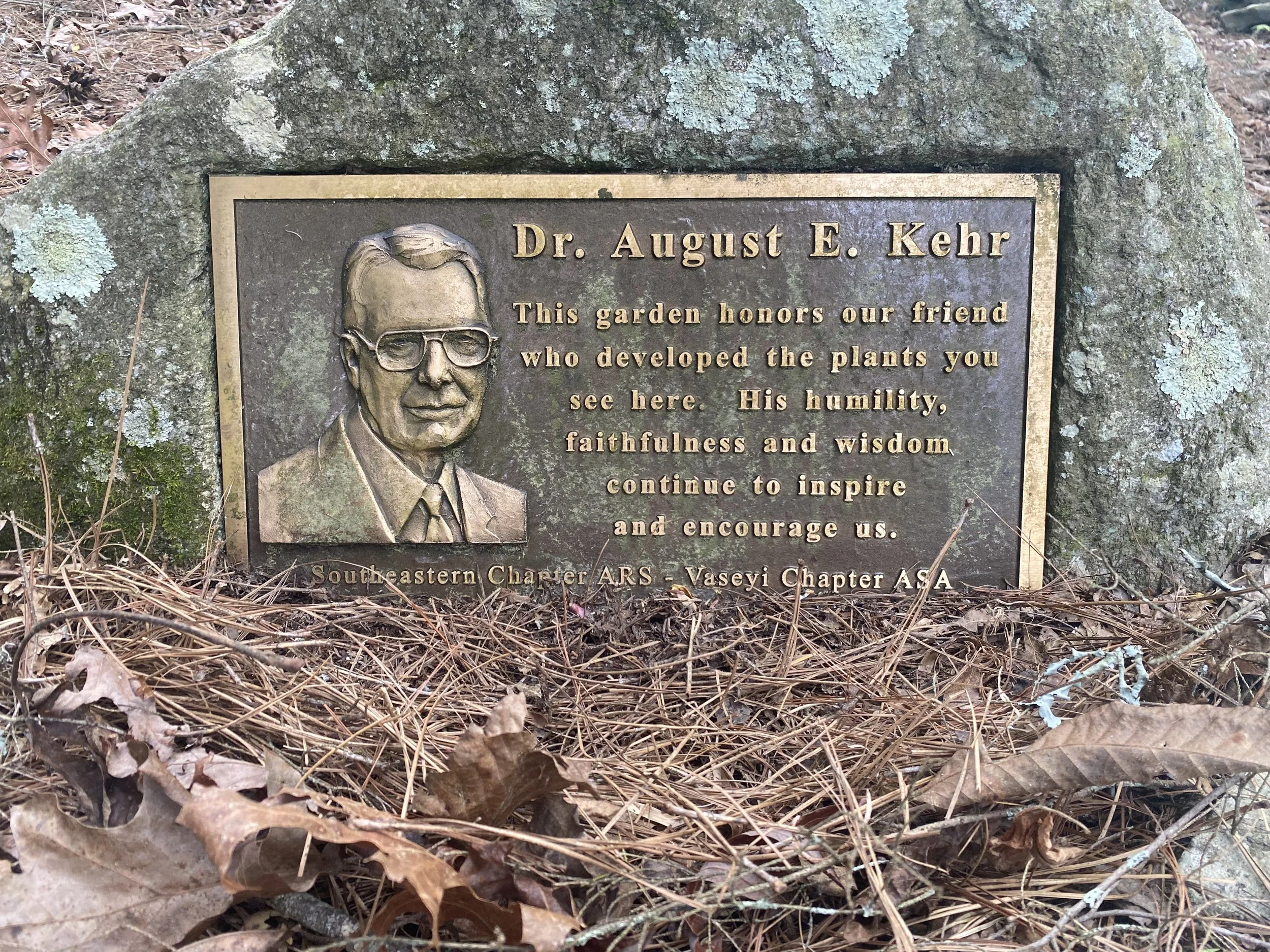 A Legacy Rooted in Flat Rock