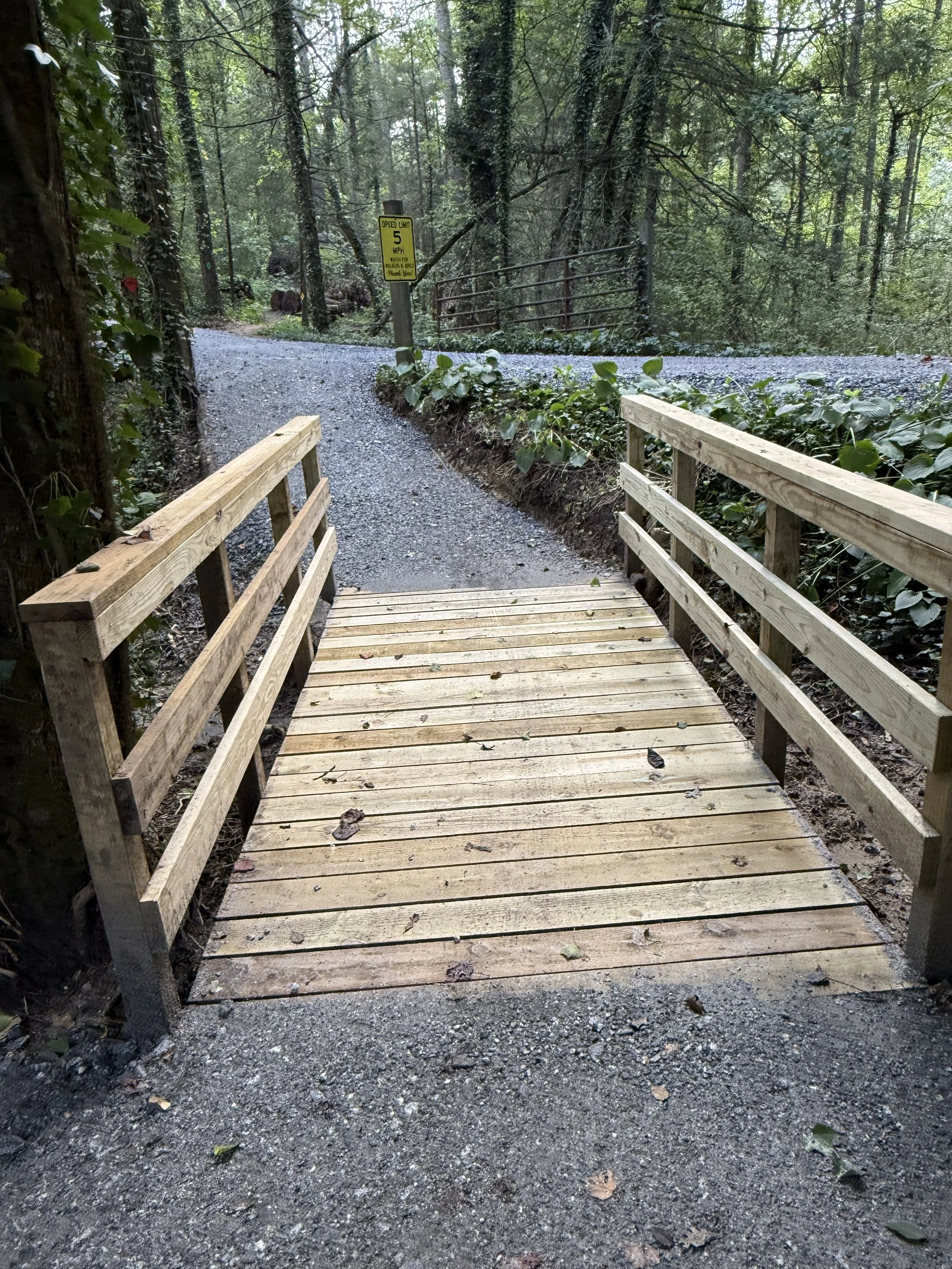Trail bridge .jpg
