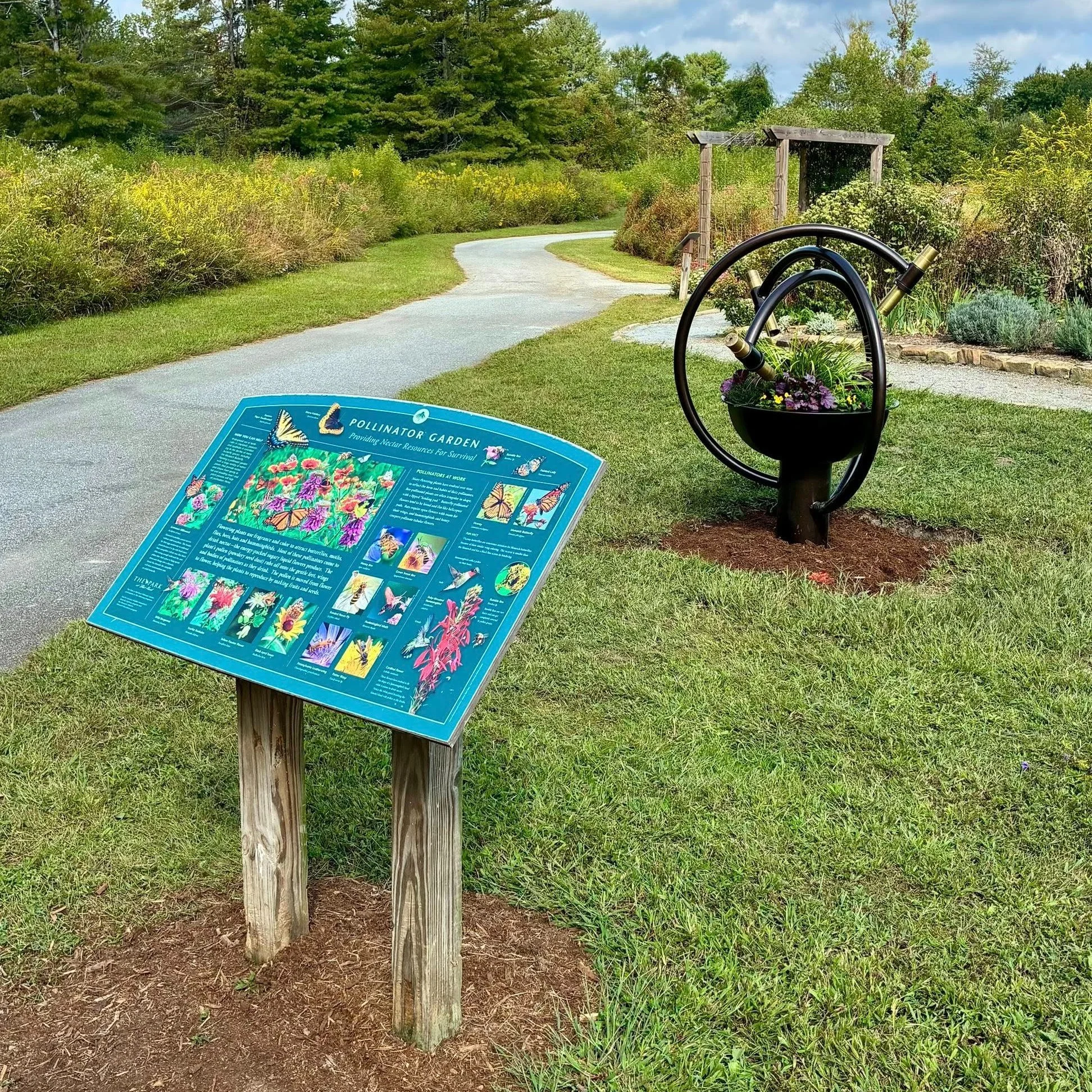 As autumn paints the edges of The Park at Flat Rock with gold and russet hues, the Pollinator Garden quietly slips into its seasonal slumber. Once alive with the bright chatter of bees and butterflies, it now glows in quieter tones - seed heads noddi
