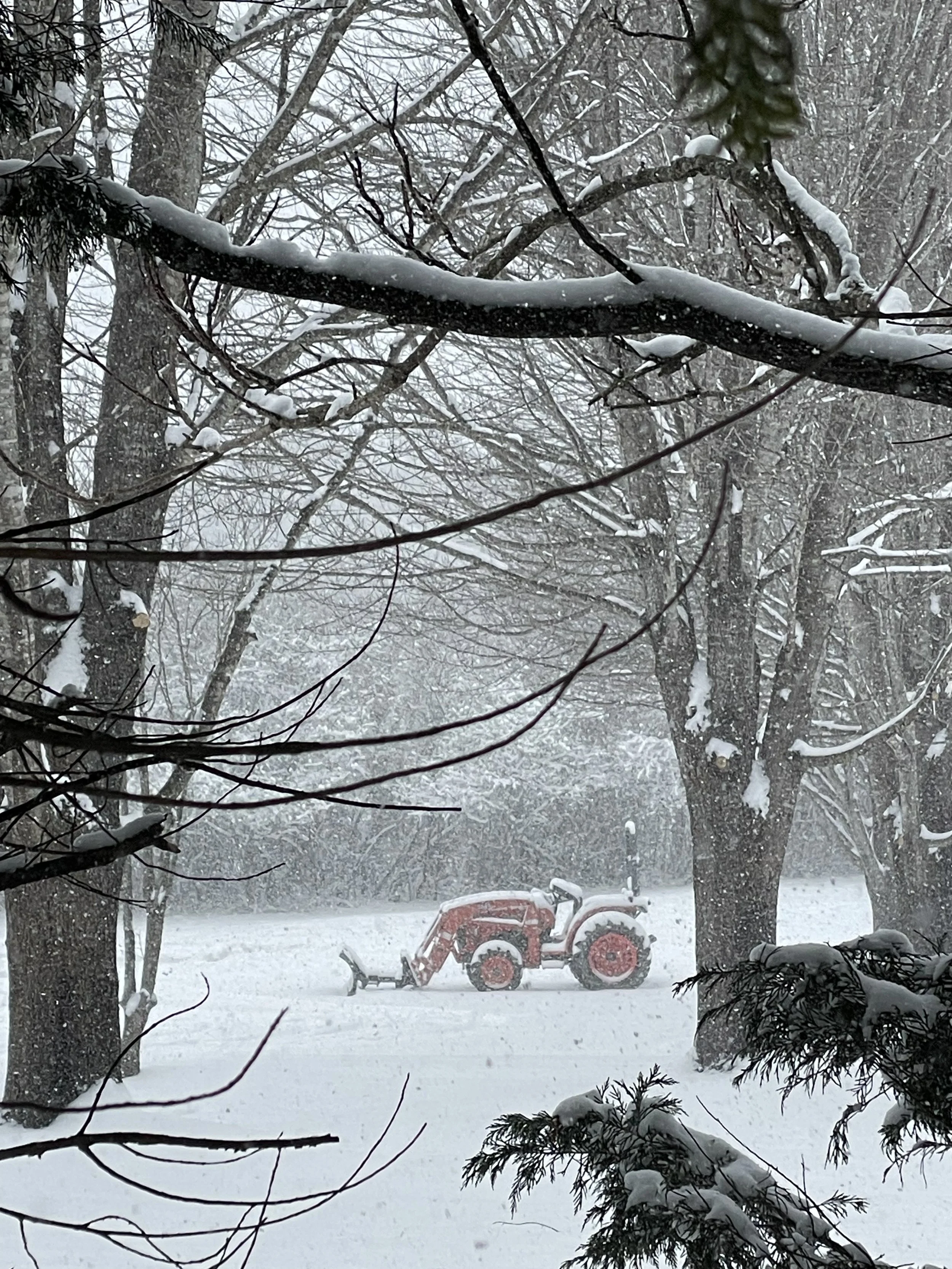 Your Winter Reflections