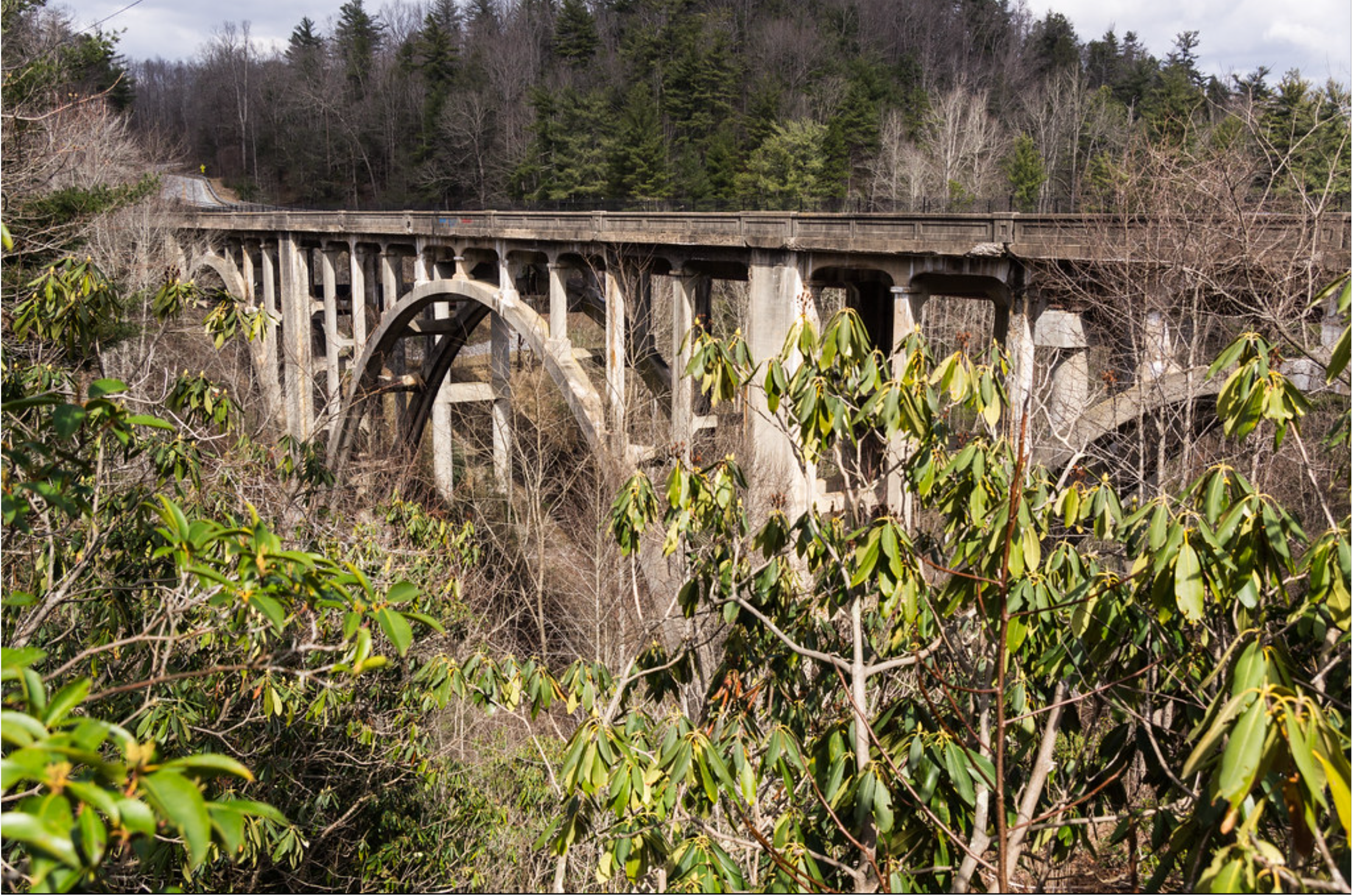 Screen Shot 2026-02-14 at 8.35.41 PM.png