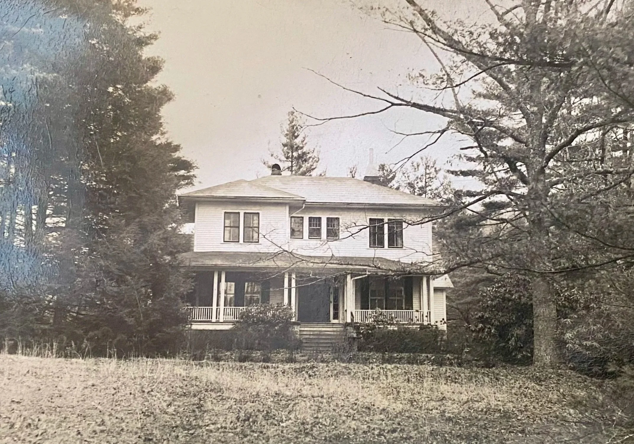 A Home Called Rhododendron