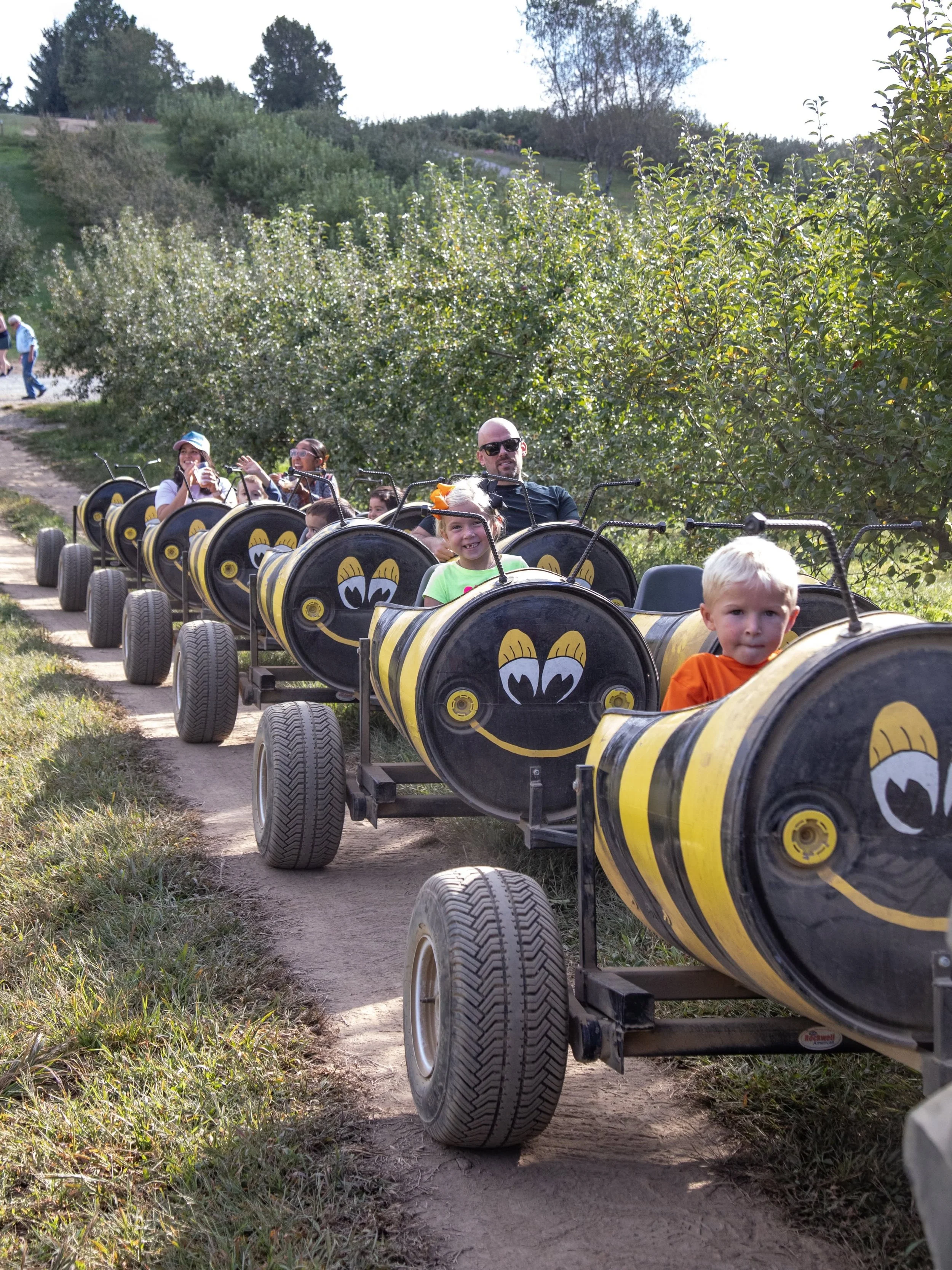 Sky Top Bee Train.jpg