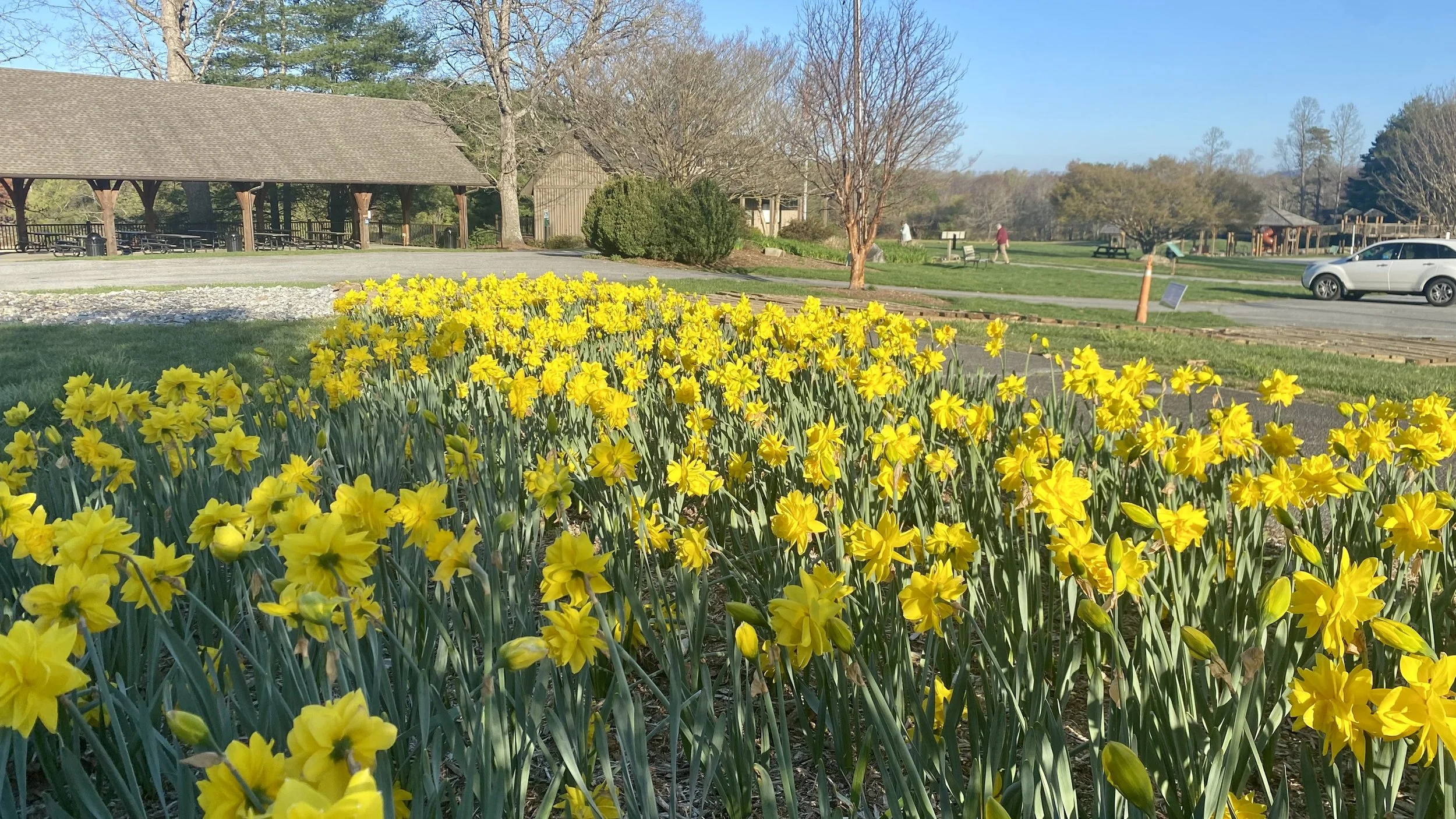 Meet Me at The Park — Flat Rock Together