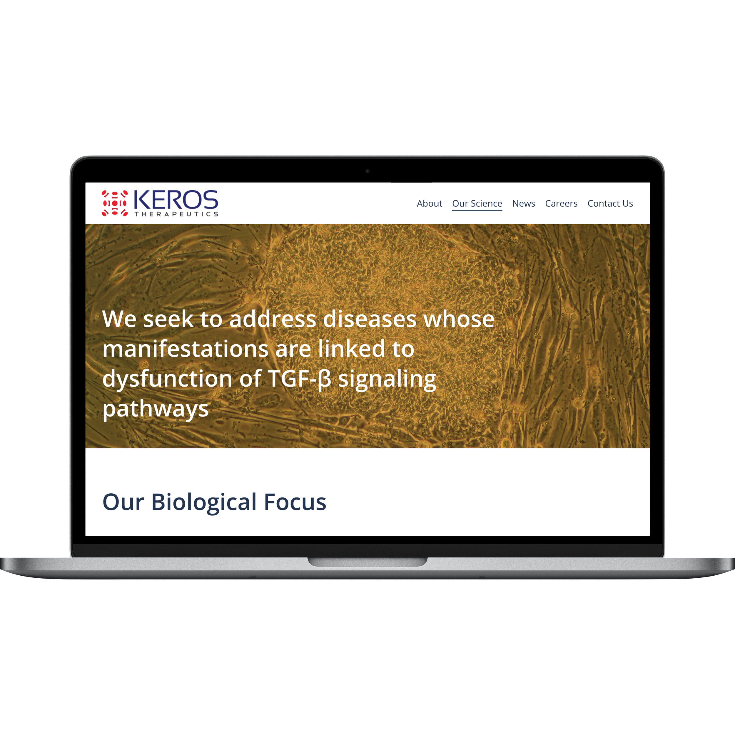 Keros.screen.1.jpg