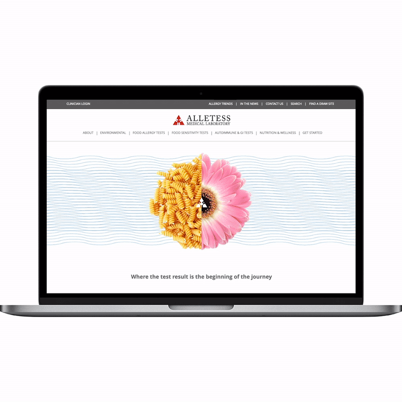 Alletess web.gif