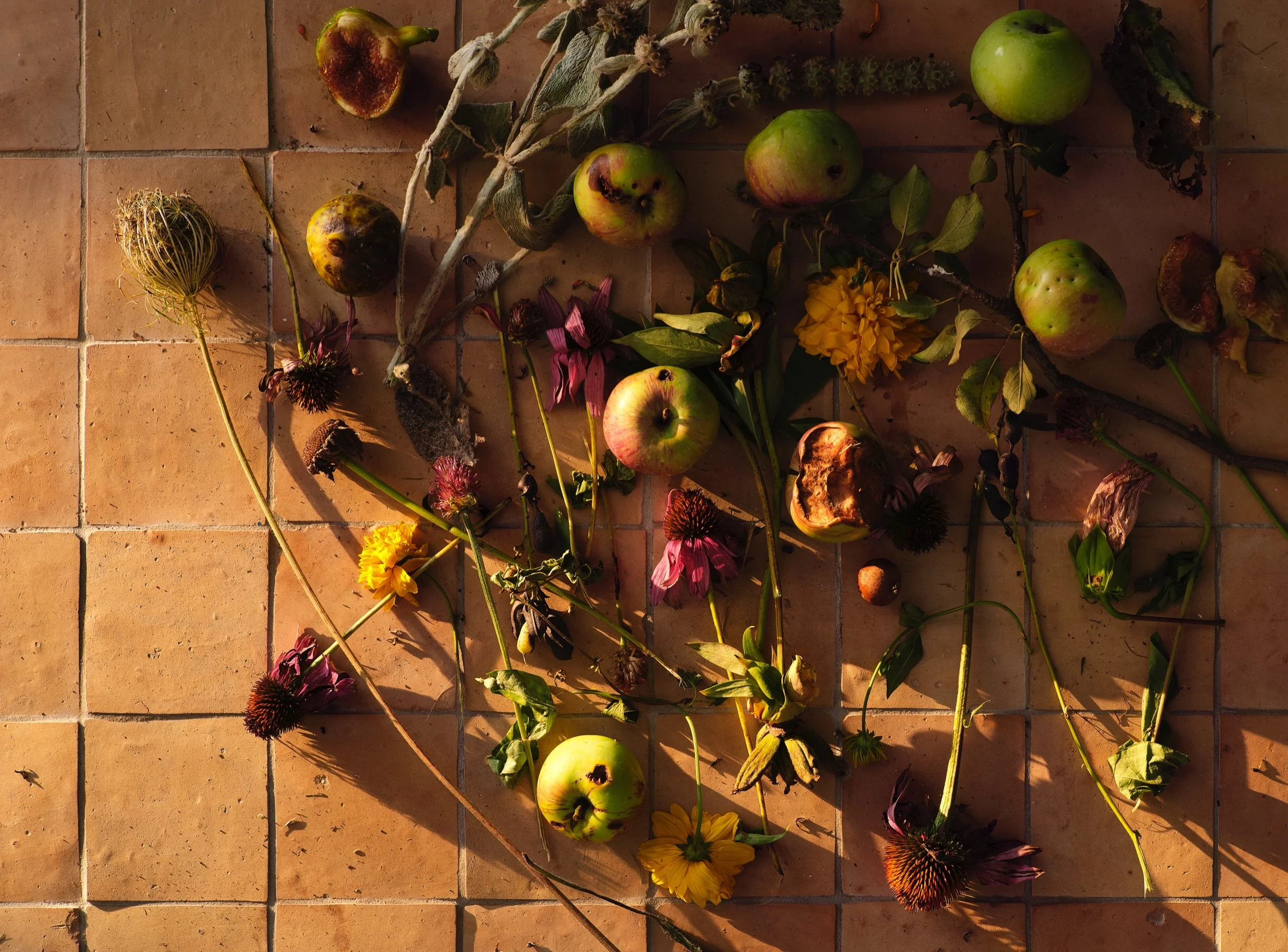 bon_appetit_test31232 1.jpeg