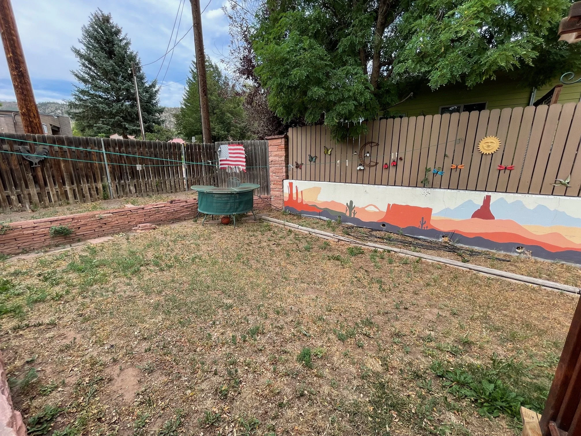 backyard1.jpg