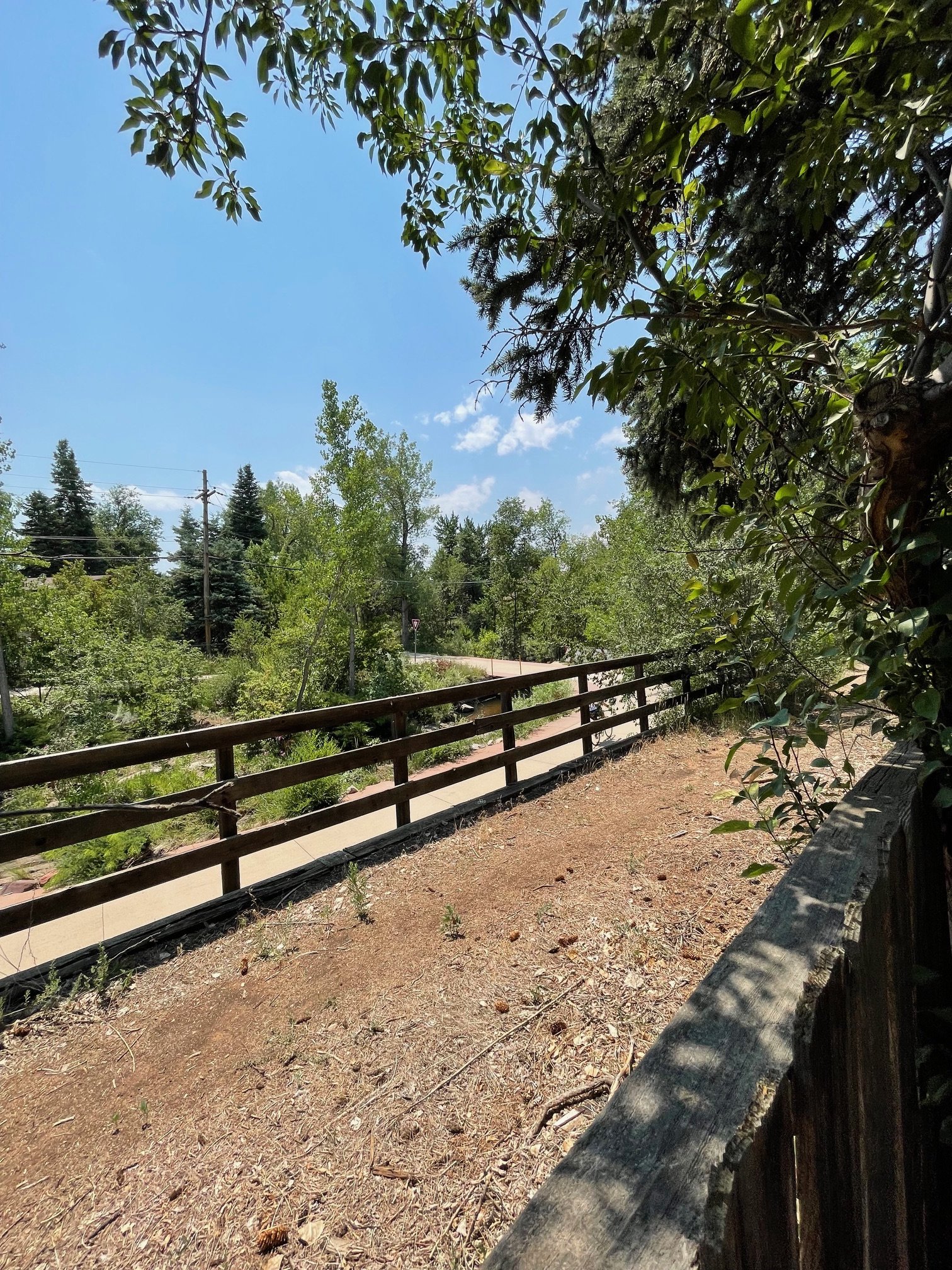 bikepathbehindhouse.jpg