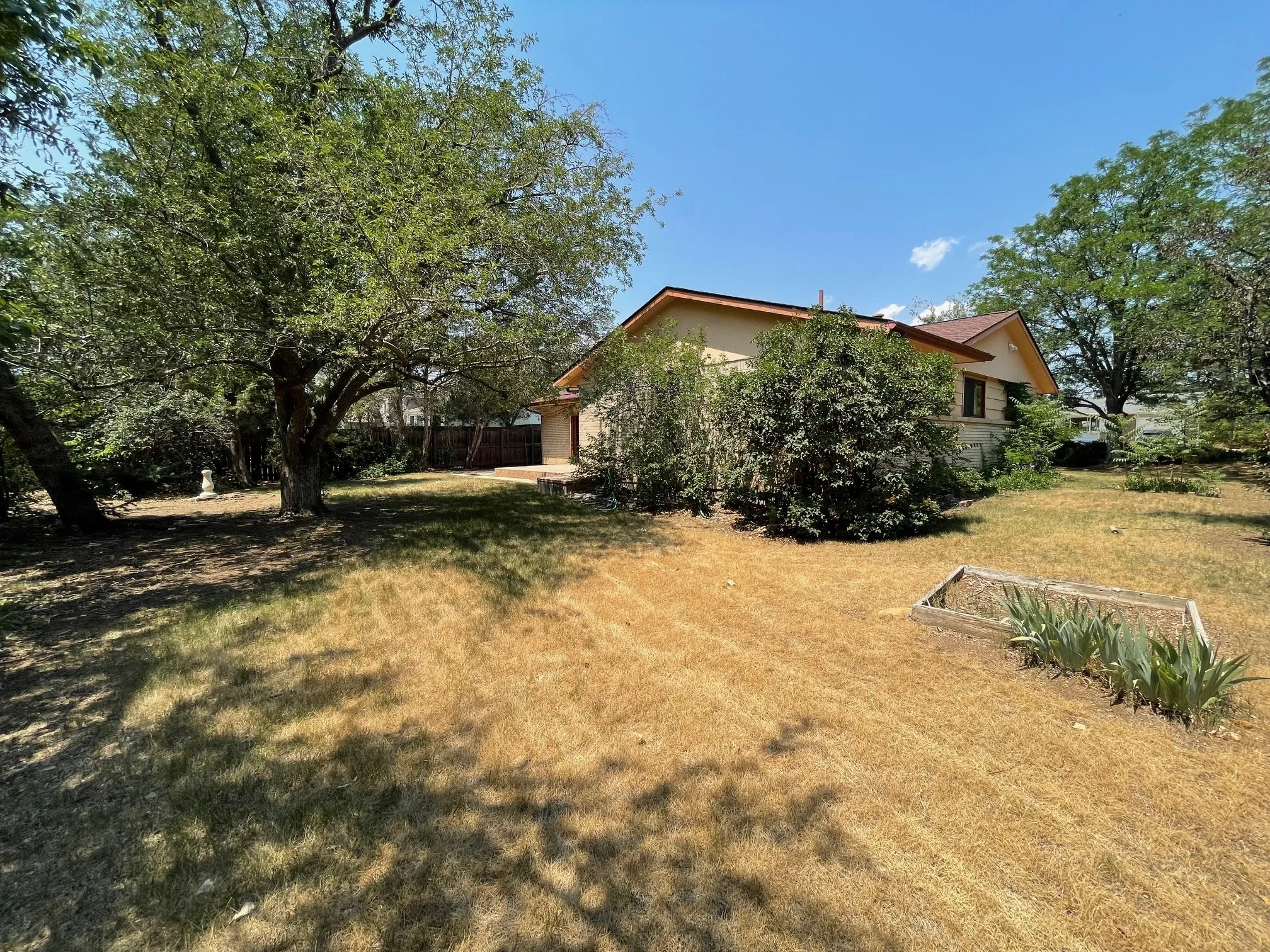 yard2.jpg