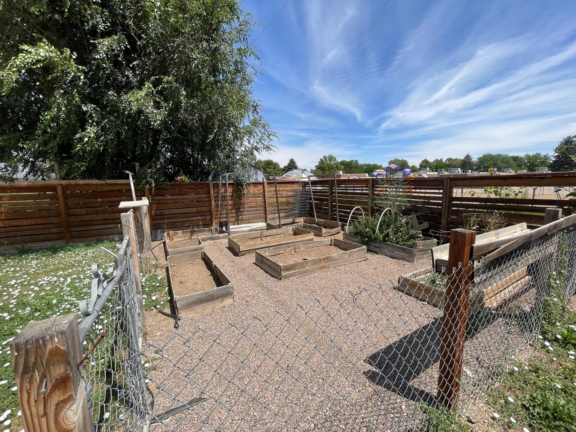 RAISED GARDEN BEDS.jpg