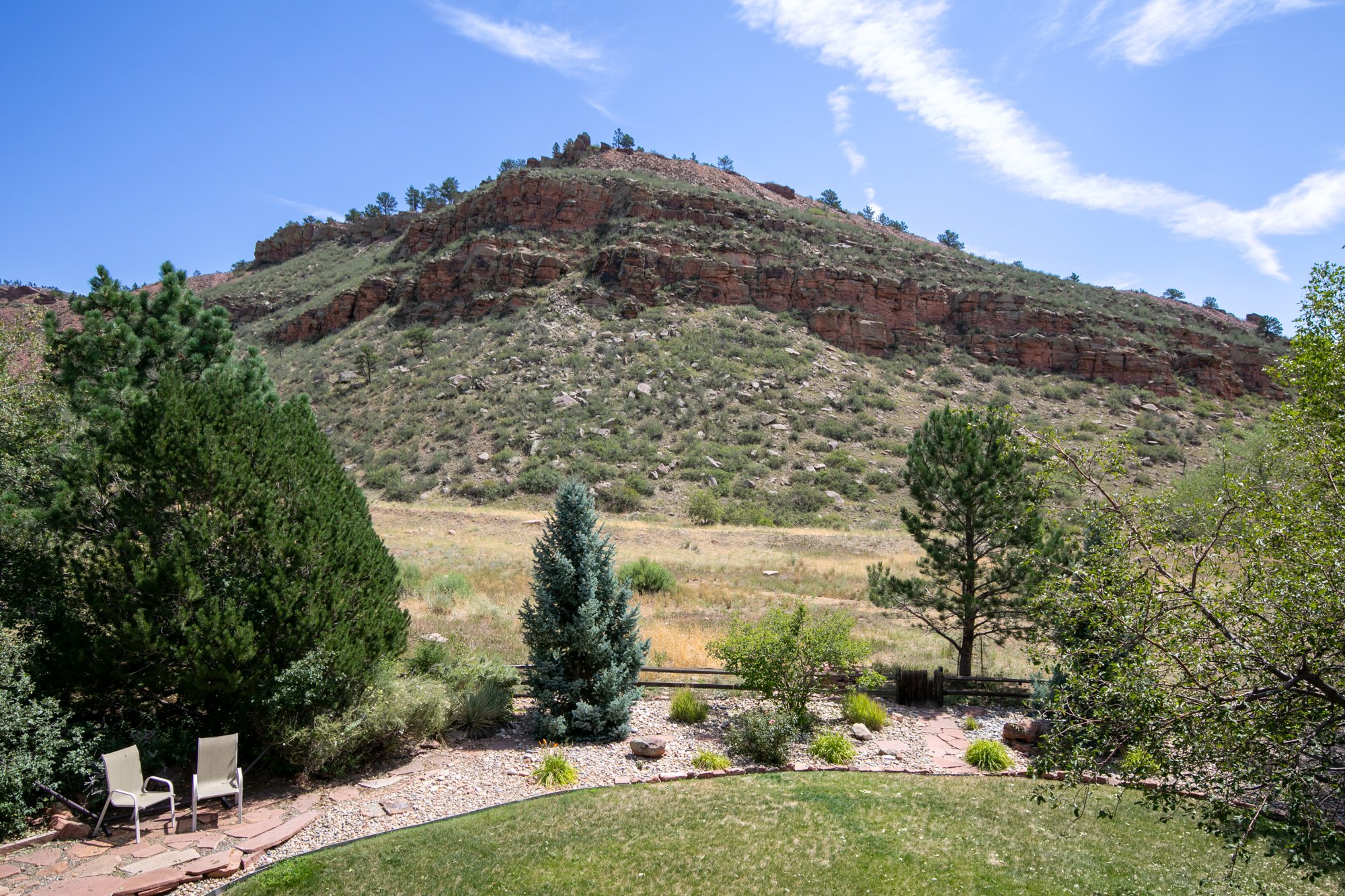 Back Yard-1.jpg