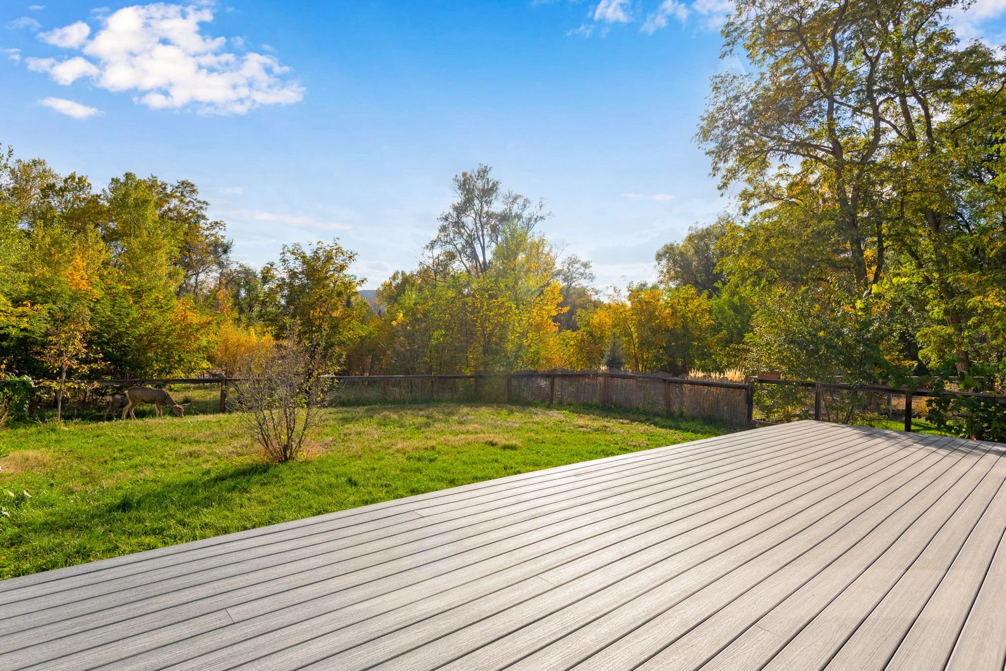 21-web-or-mls-217-park-st.jpg