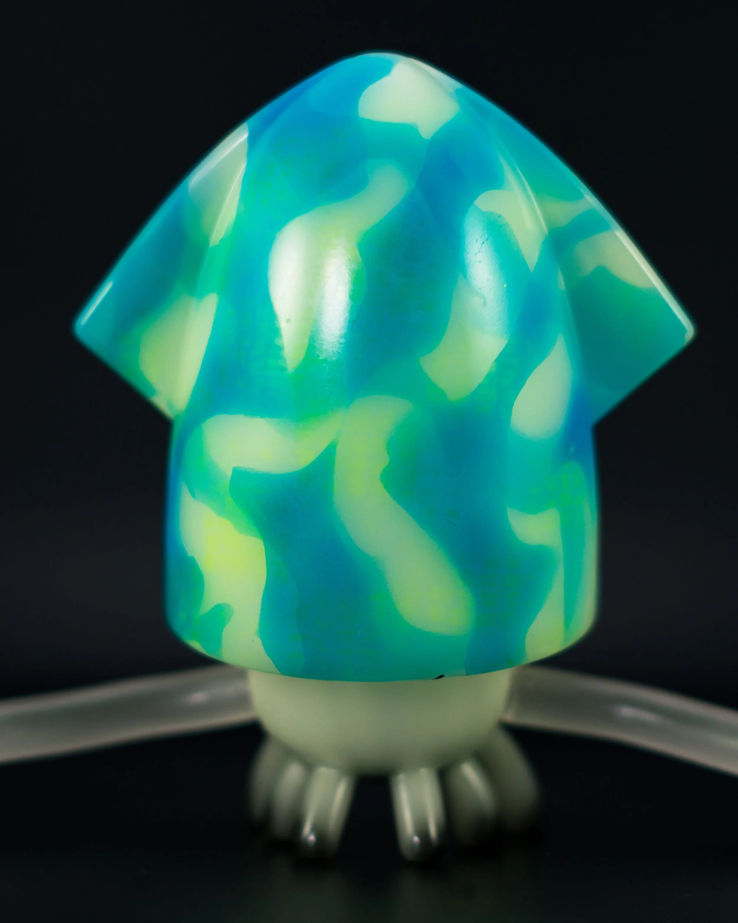 8. Squid_Back Close Up.jpg