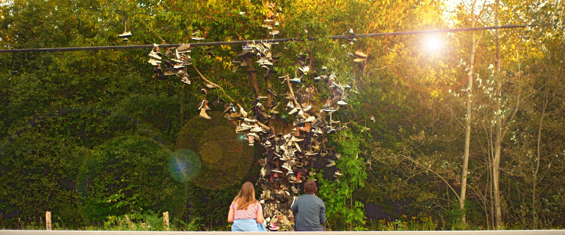 All About Who You Know Shoe Tree.jpg