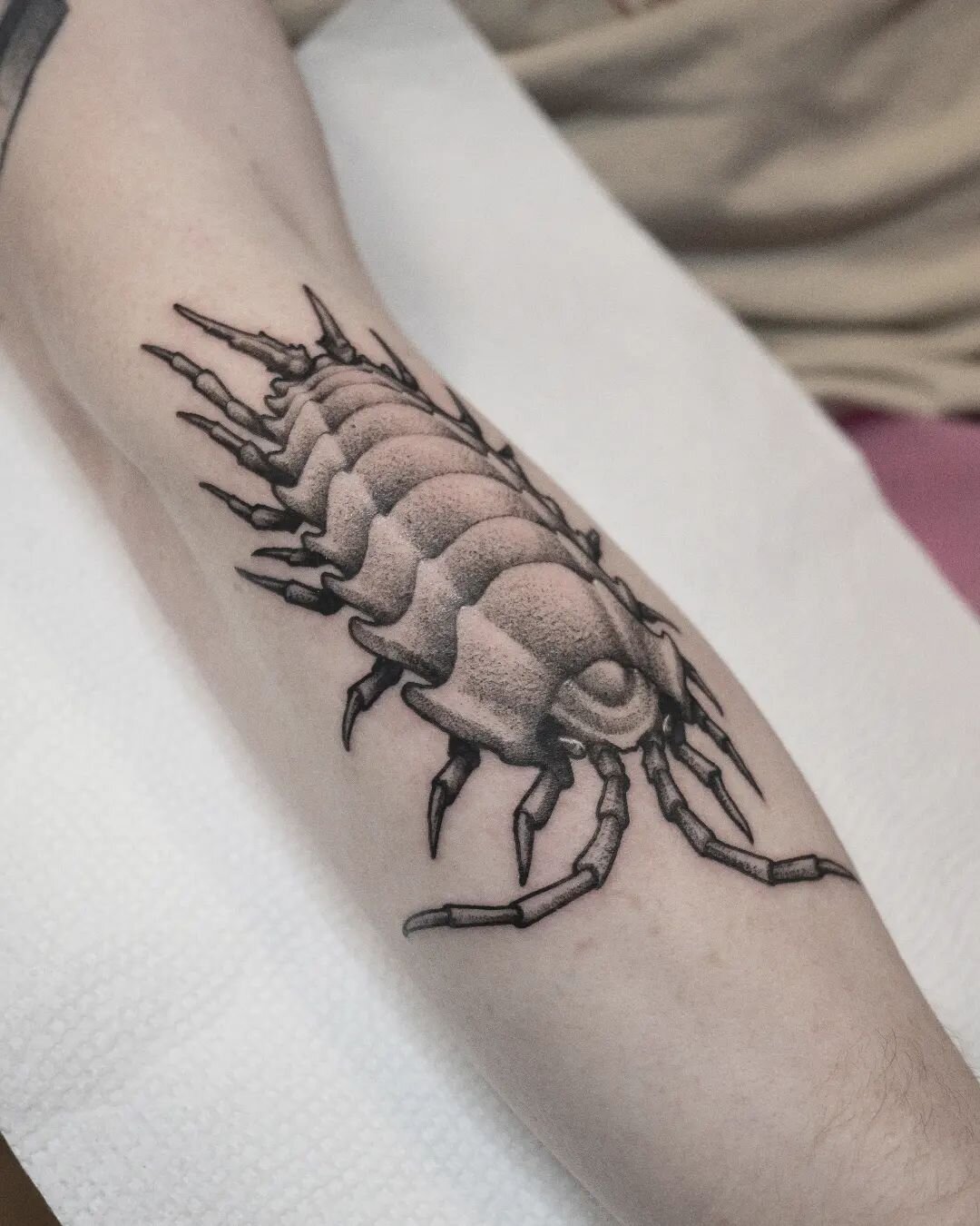Isopod on @rat.lungworm 🌝
🐚
🐚
🐚
🐚
#isopod #bugs #tattoos #illustration #tattoo #darkartists #science #nature #blackwork #minneapolis #brooklyn #nyc #terrarium #vivarium