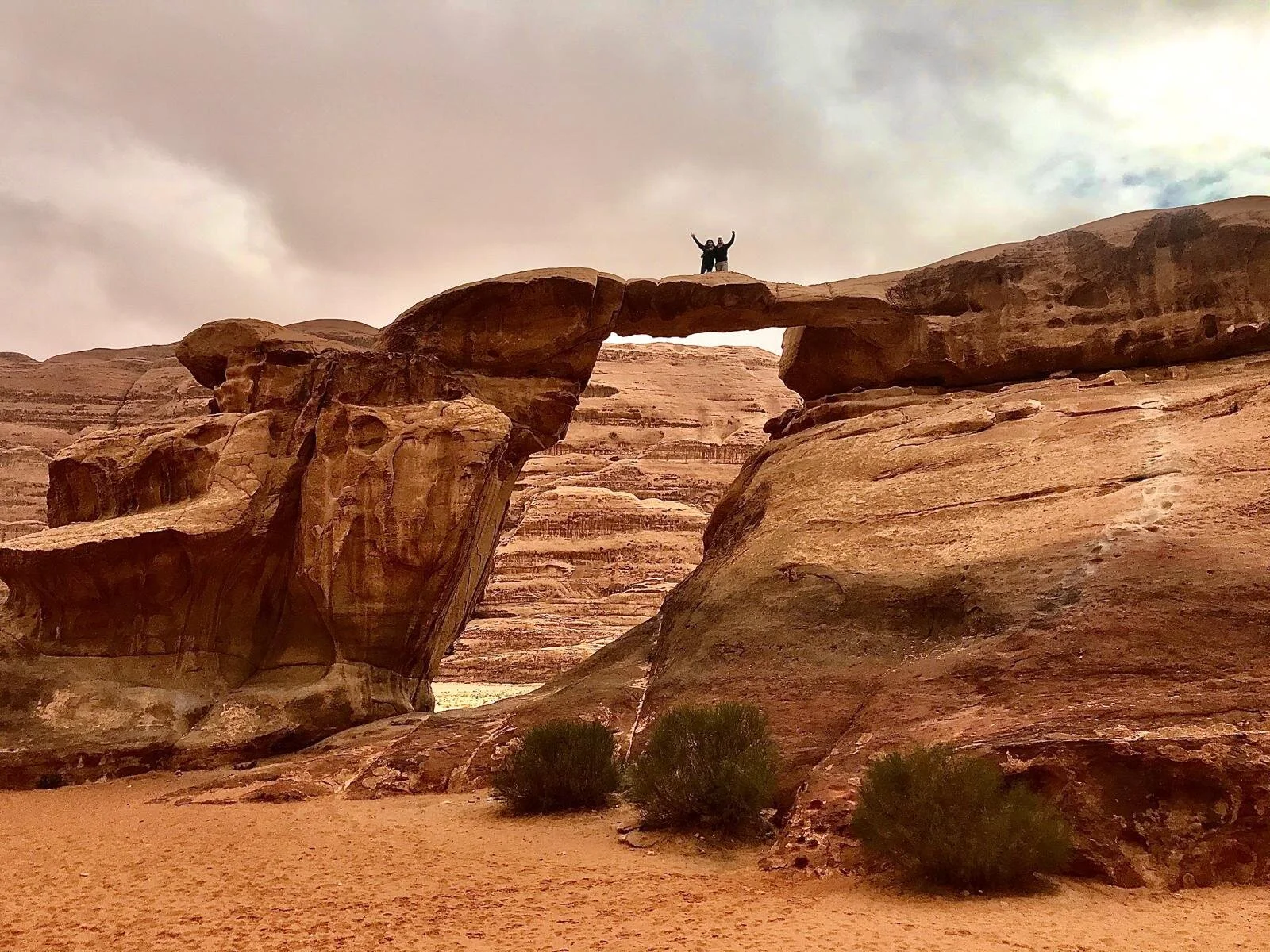 MHCR’s First Handbook: A Self-Care Guide to Surviving and Thriving During COVID-19