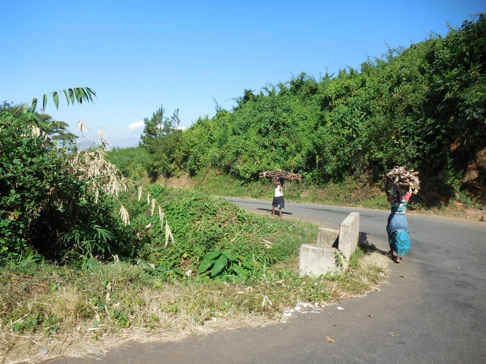 Picture2.jpg