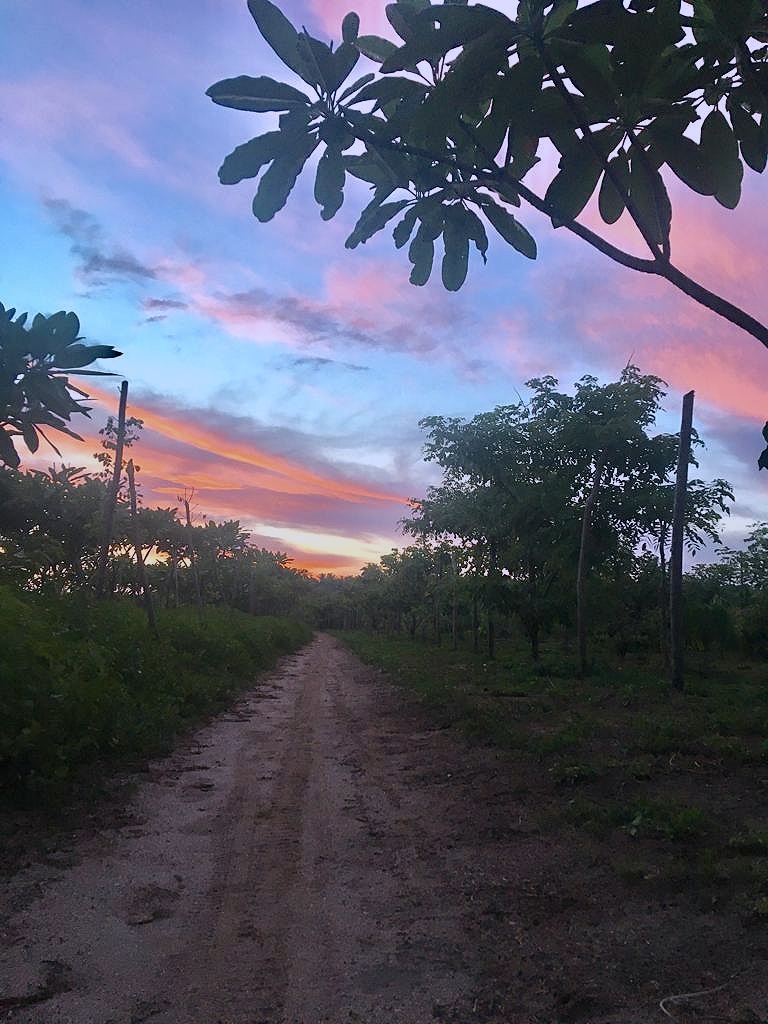 path.jpeg