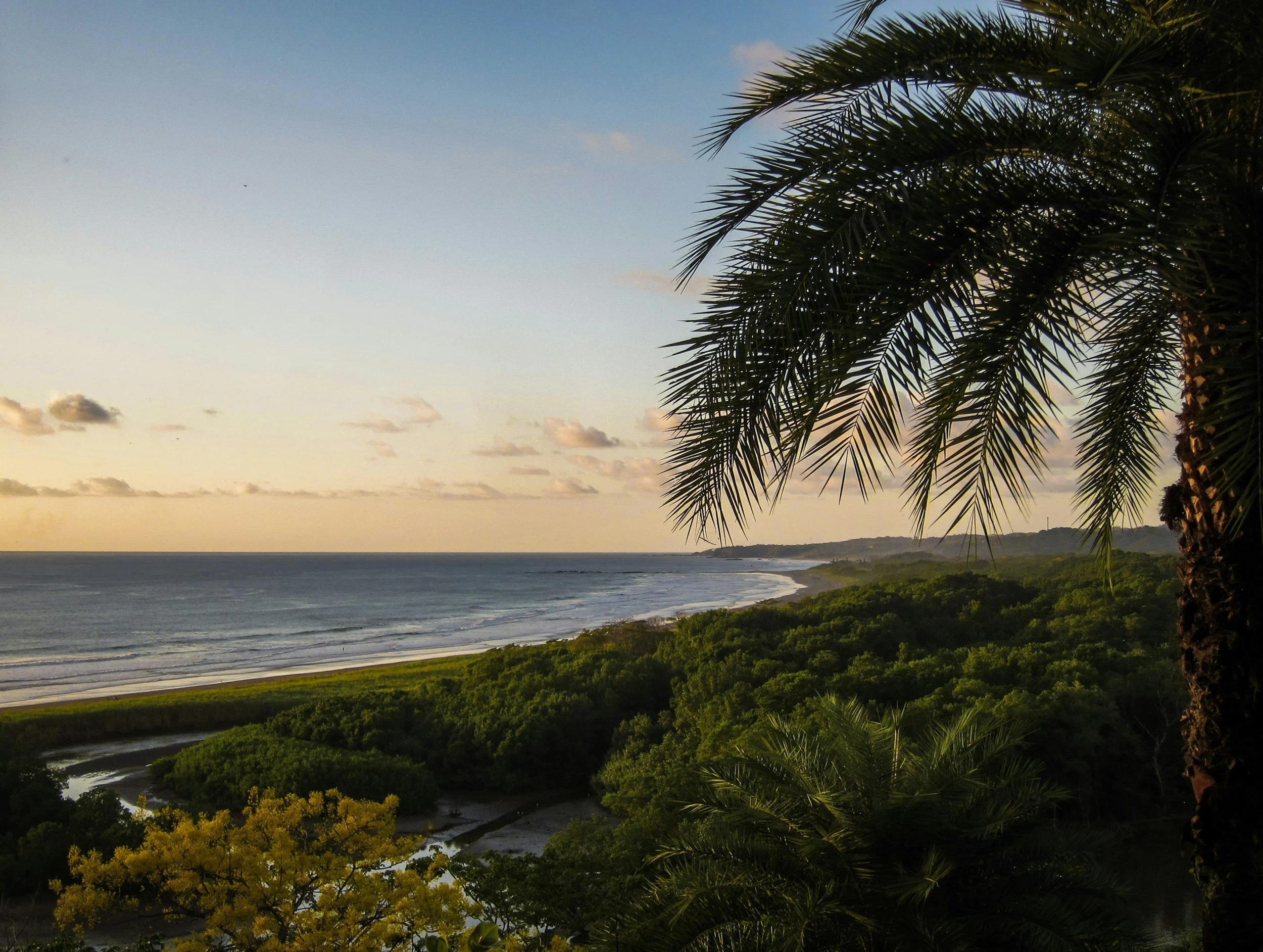 beautiful view overlooking beach in the jungle