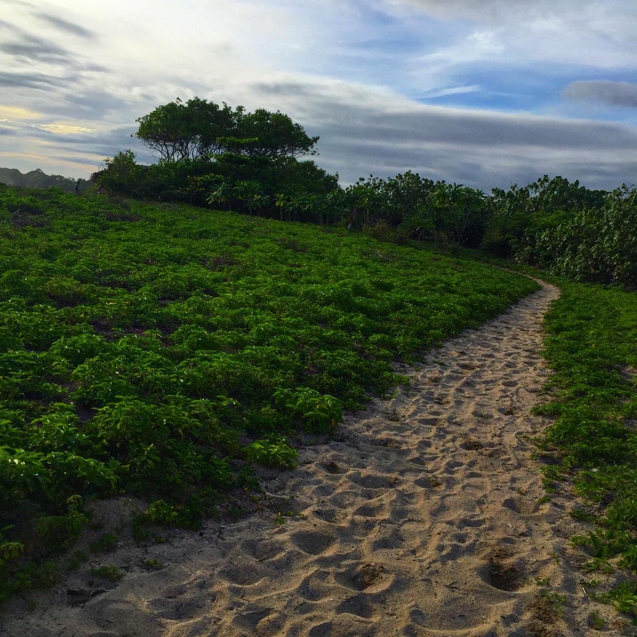 Rainy Season in Nosara: What It’s Actually Like 