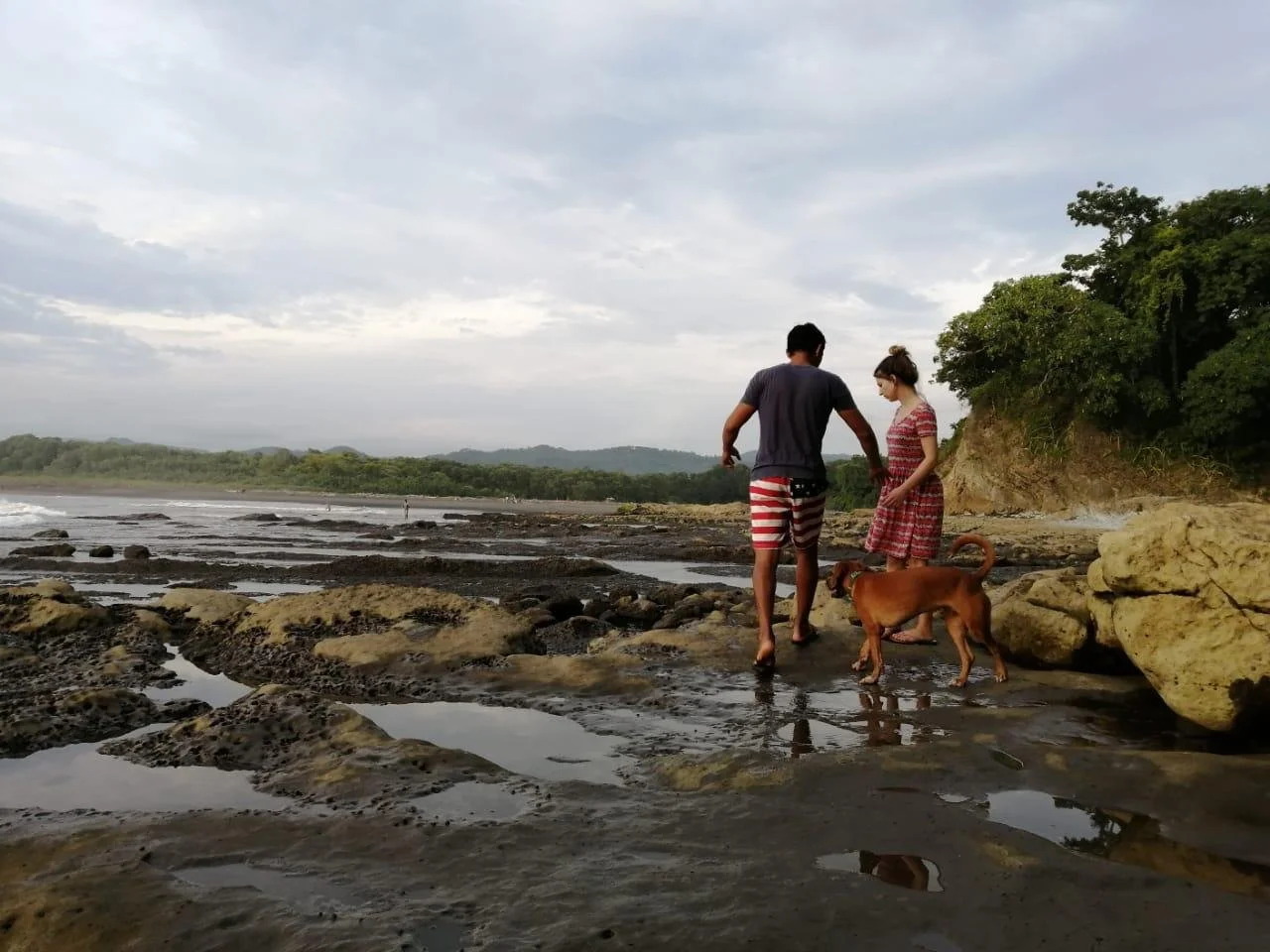 5 Things You Should Know Before Visiting Nosara, Costa Rica