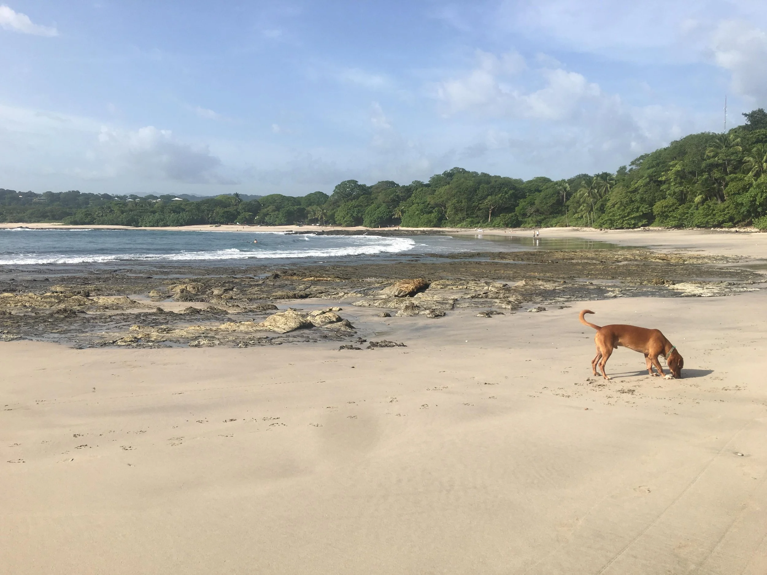 Playa Pelada vs Playa Guiones: Which Area Should You Stay In?