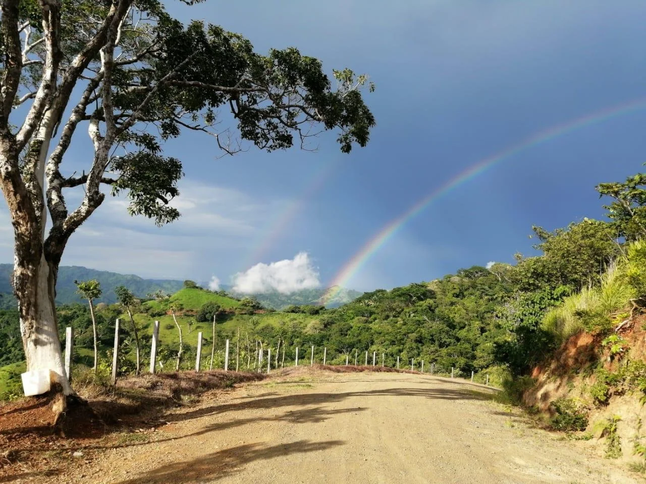 What to Do in Nosara When It Rains