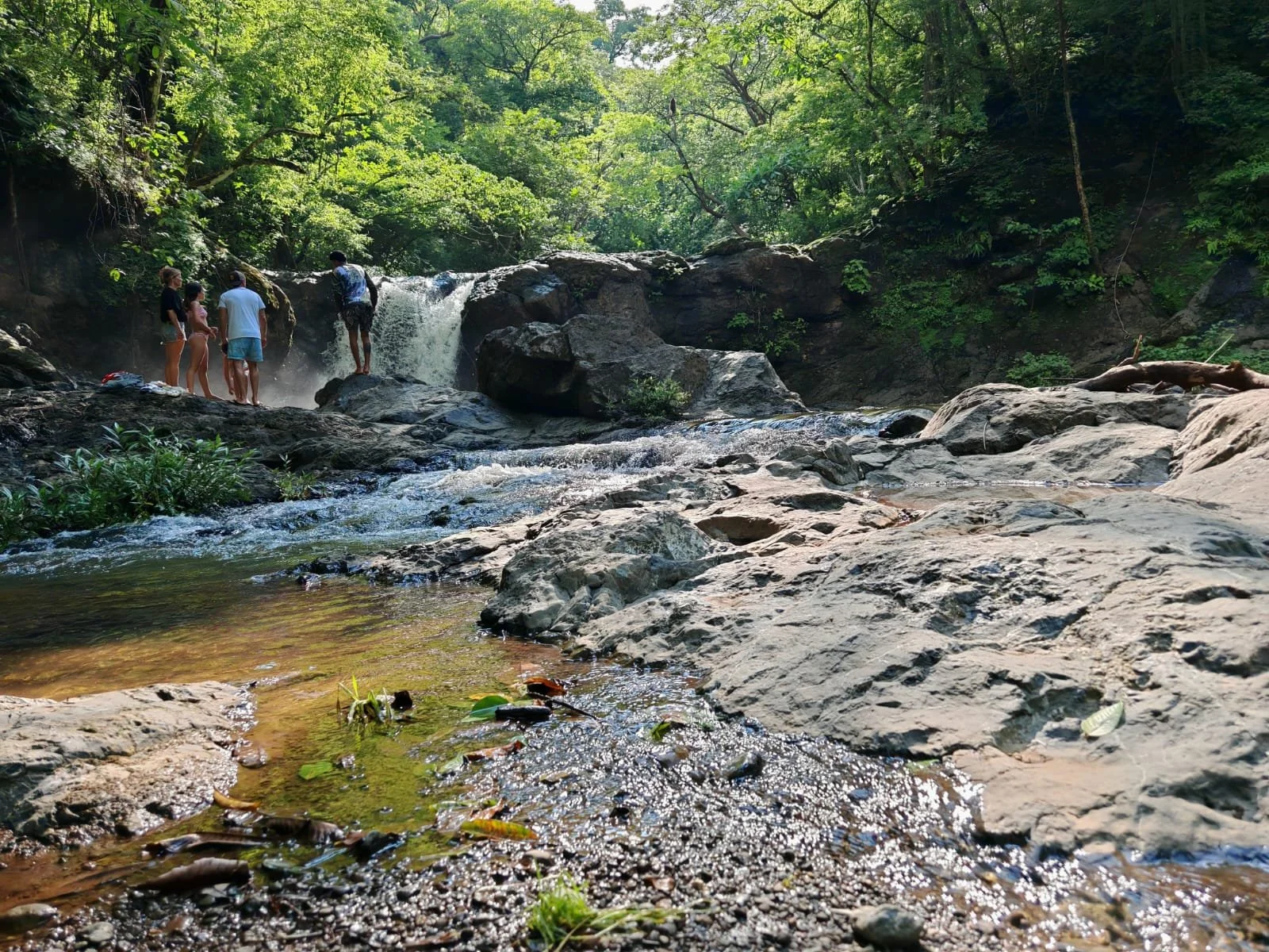 Four people standing on the rocks, looking at water falling from a waterfall in the jungle