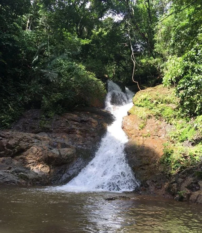 Rio Montana Waterfall in Nosara