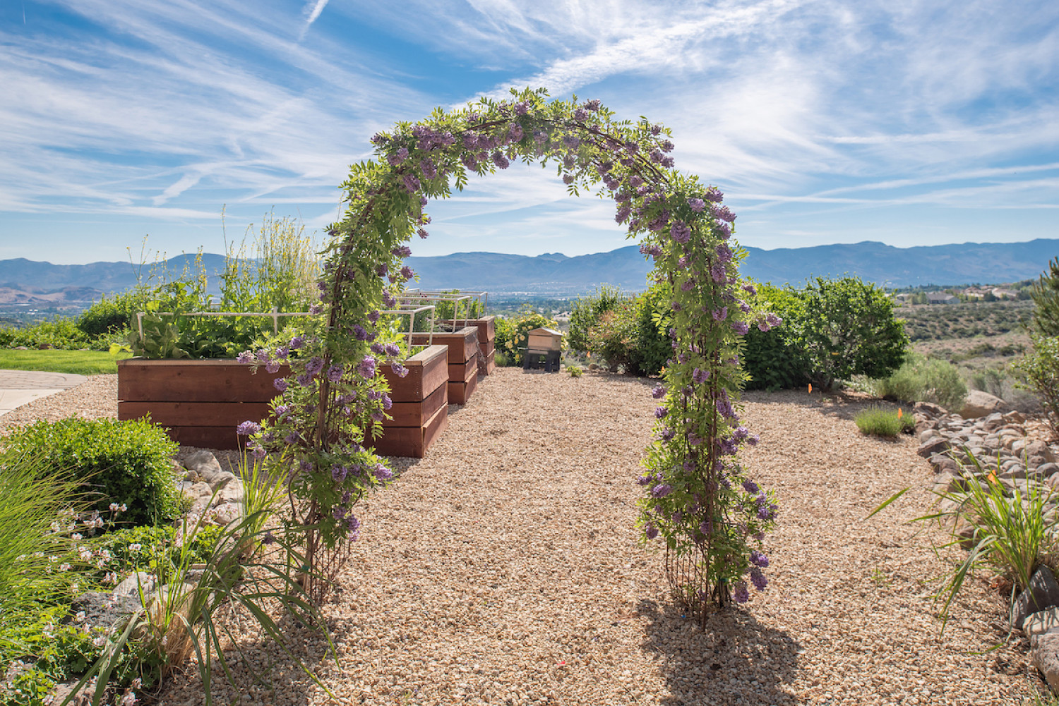 3464Arivaca(standard)-68_opt.jpg