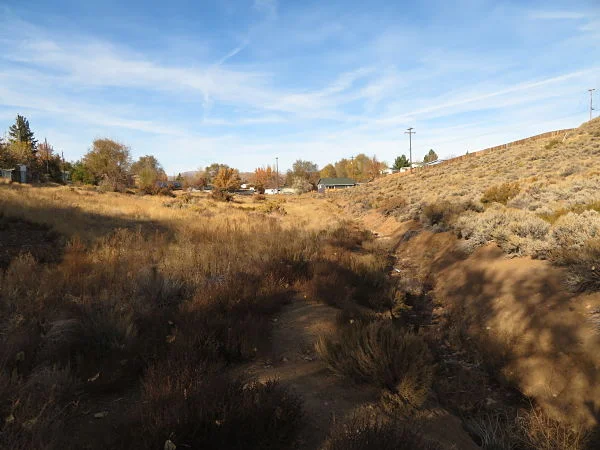 0 Sage Vista (8)_opt.jpg