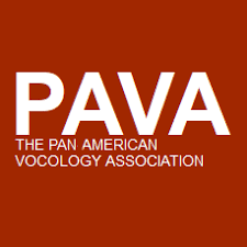 PAVA.png